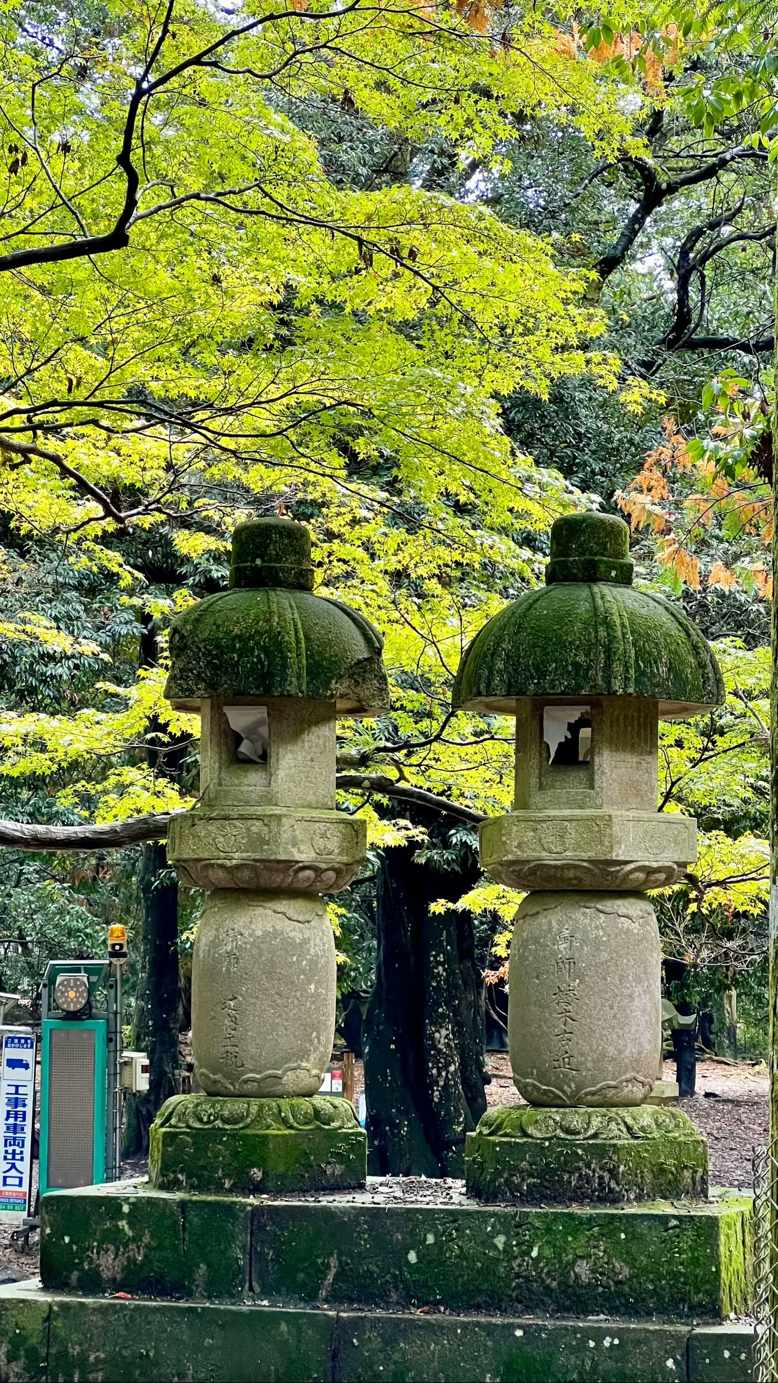 日本奈良行：鹿、春日大社