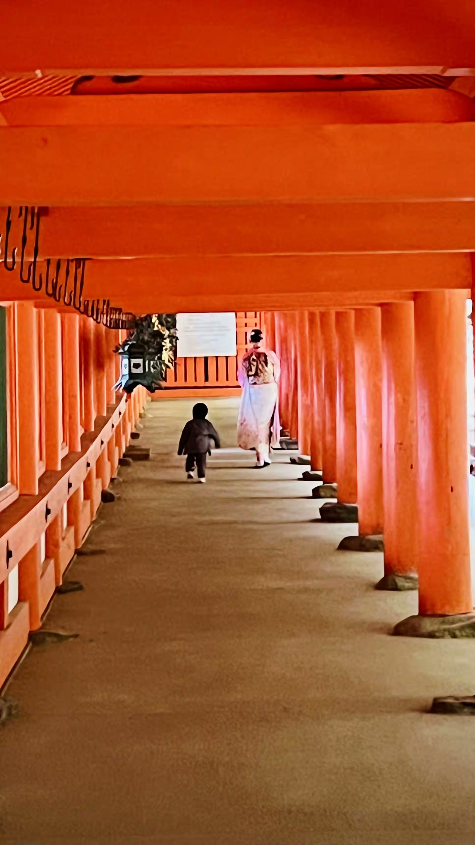 日本奈良行：鹿、春日大社