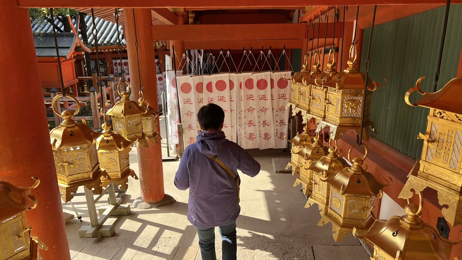 日本奈良行：鹿、春日大社