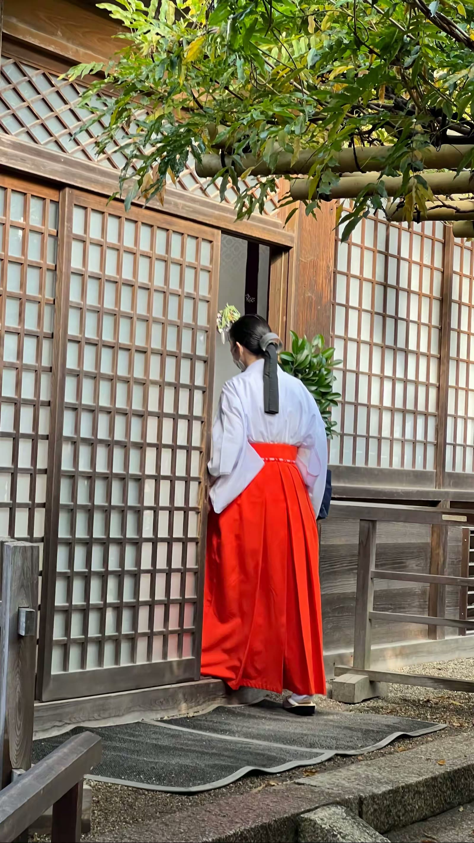 日本奈良行：鹿、春日大社