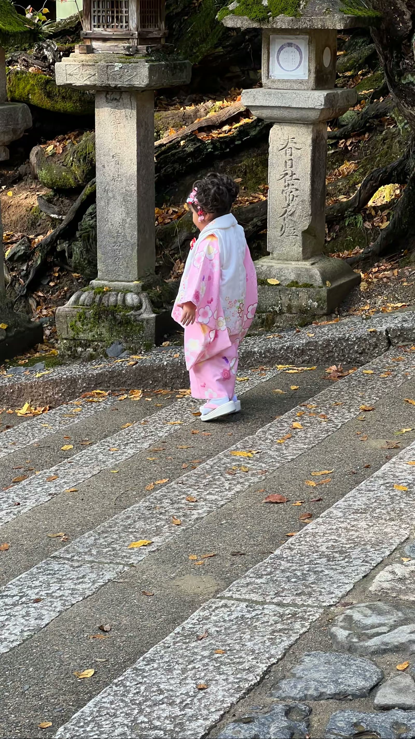 日本奈良行：鹿、春日大社