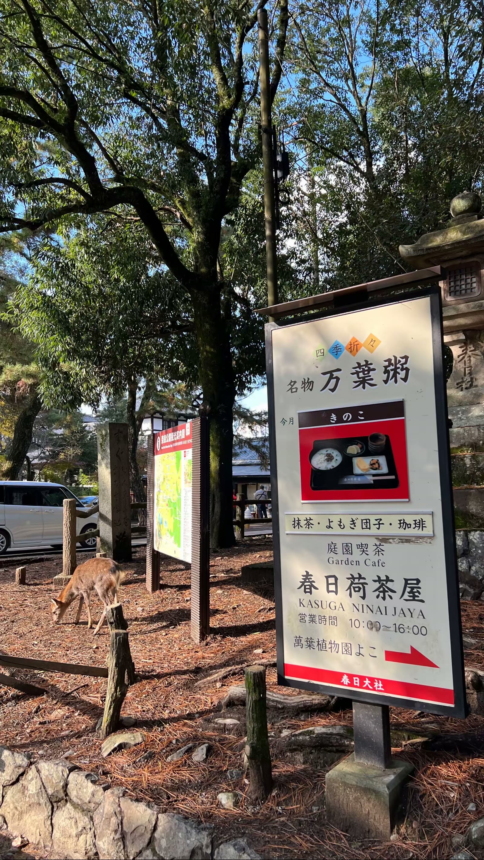 日本奈良行：鹿、春日大社
