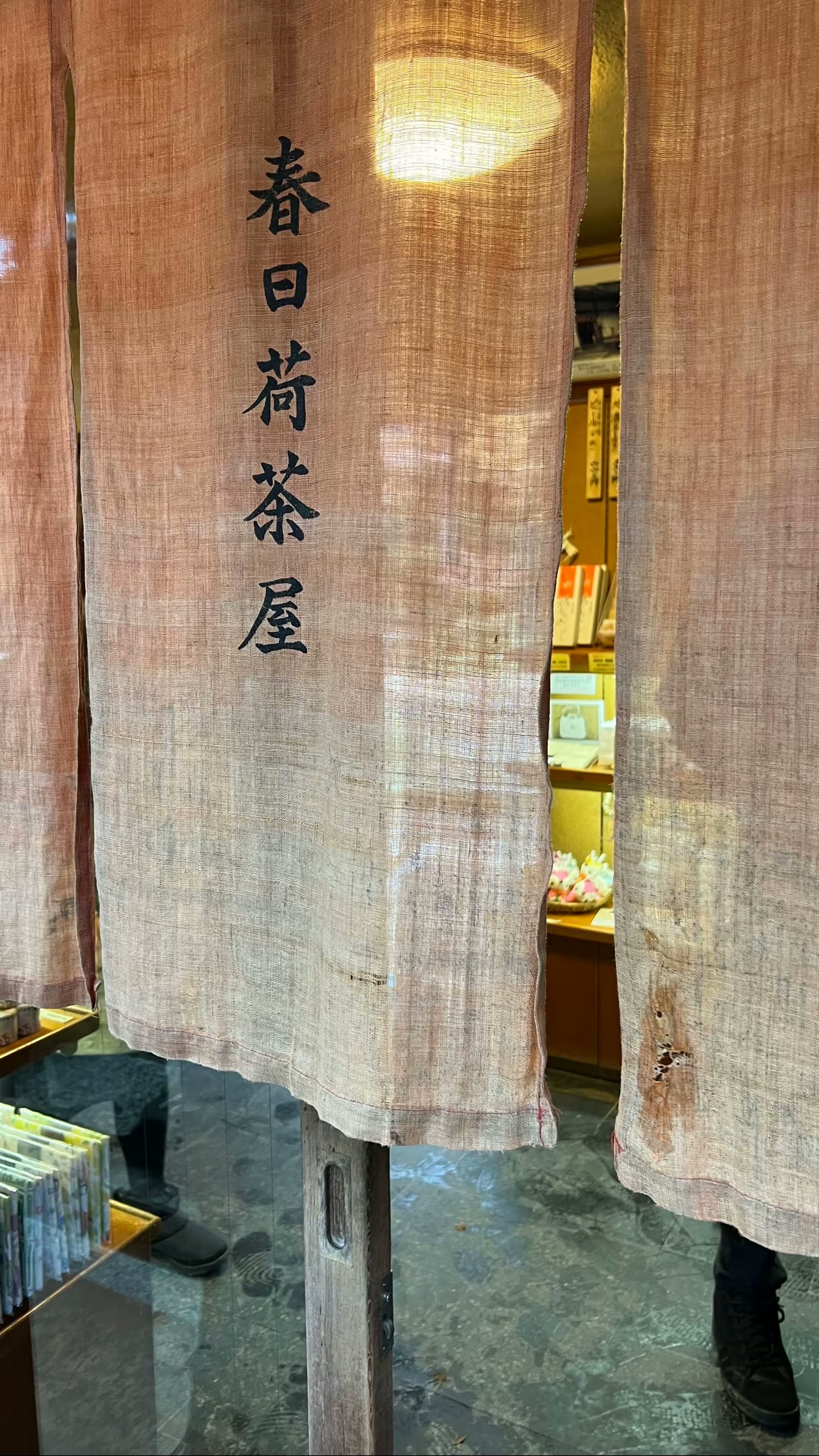日本奈良行：鹿、春日大社