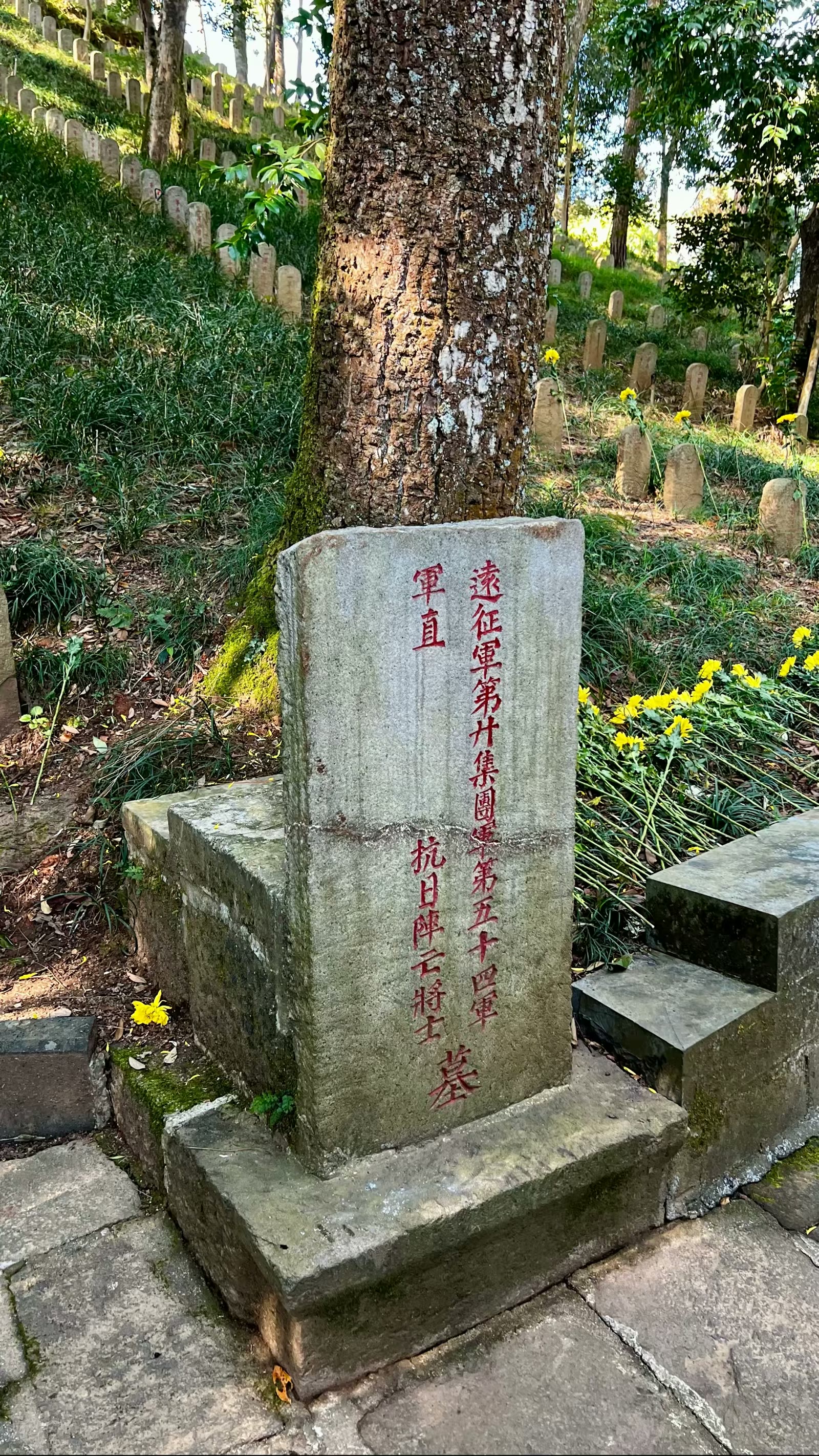 腾冲国殇墓园一瞥