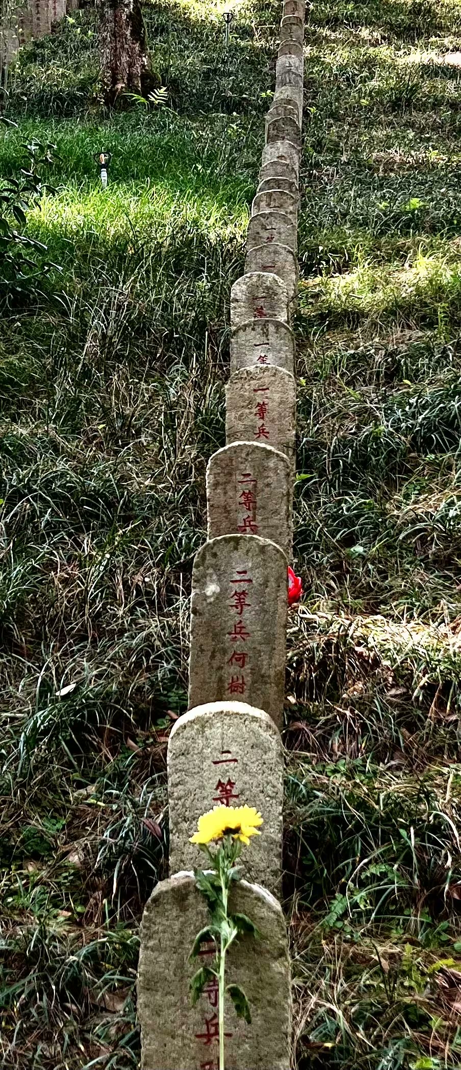 腾冲国殇墓园一瞥