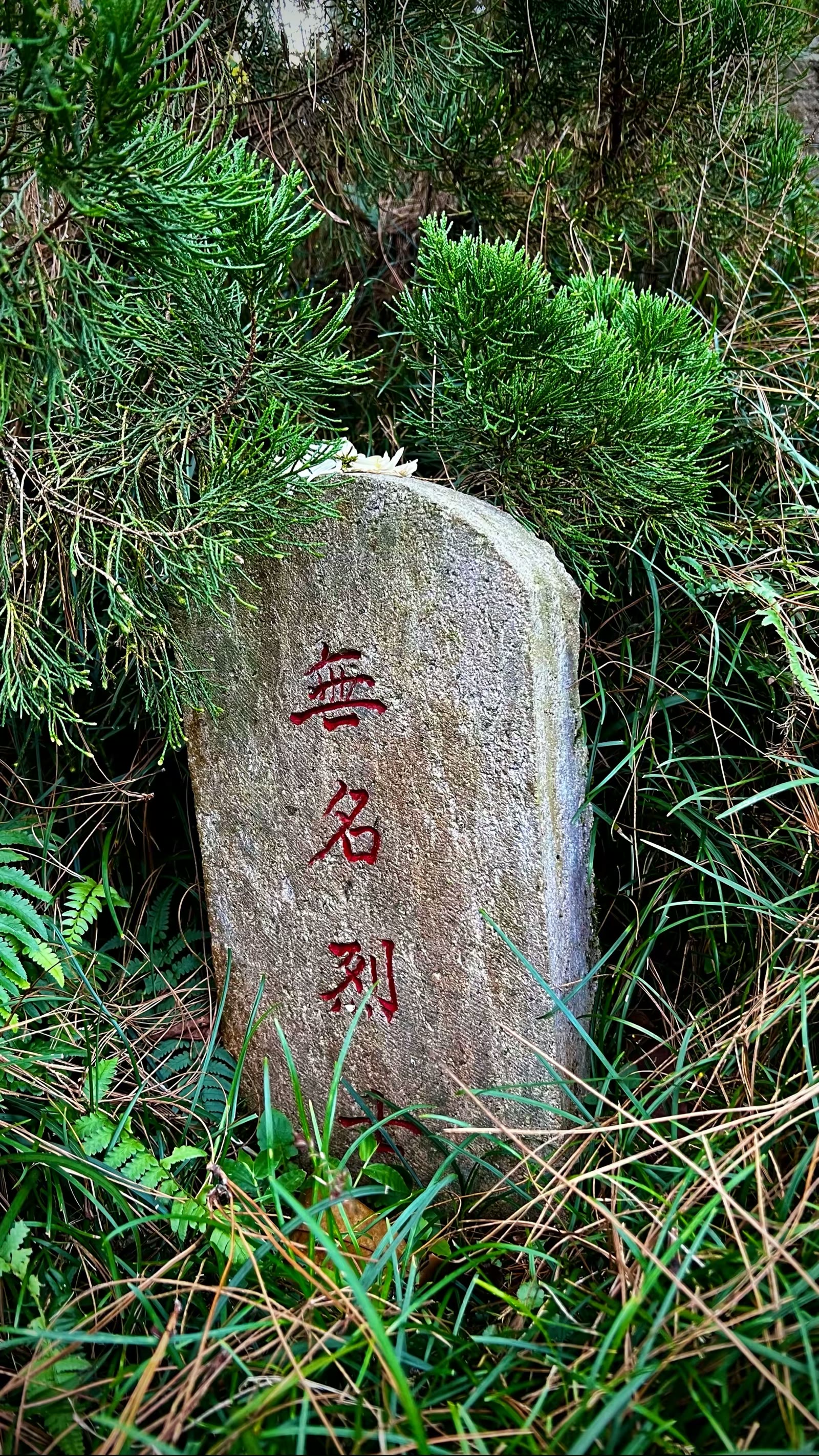 腾冲国殇墓园一瞥