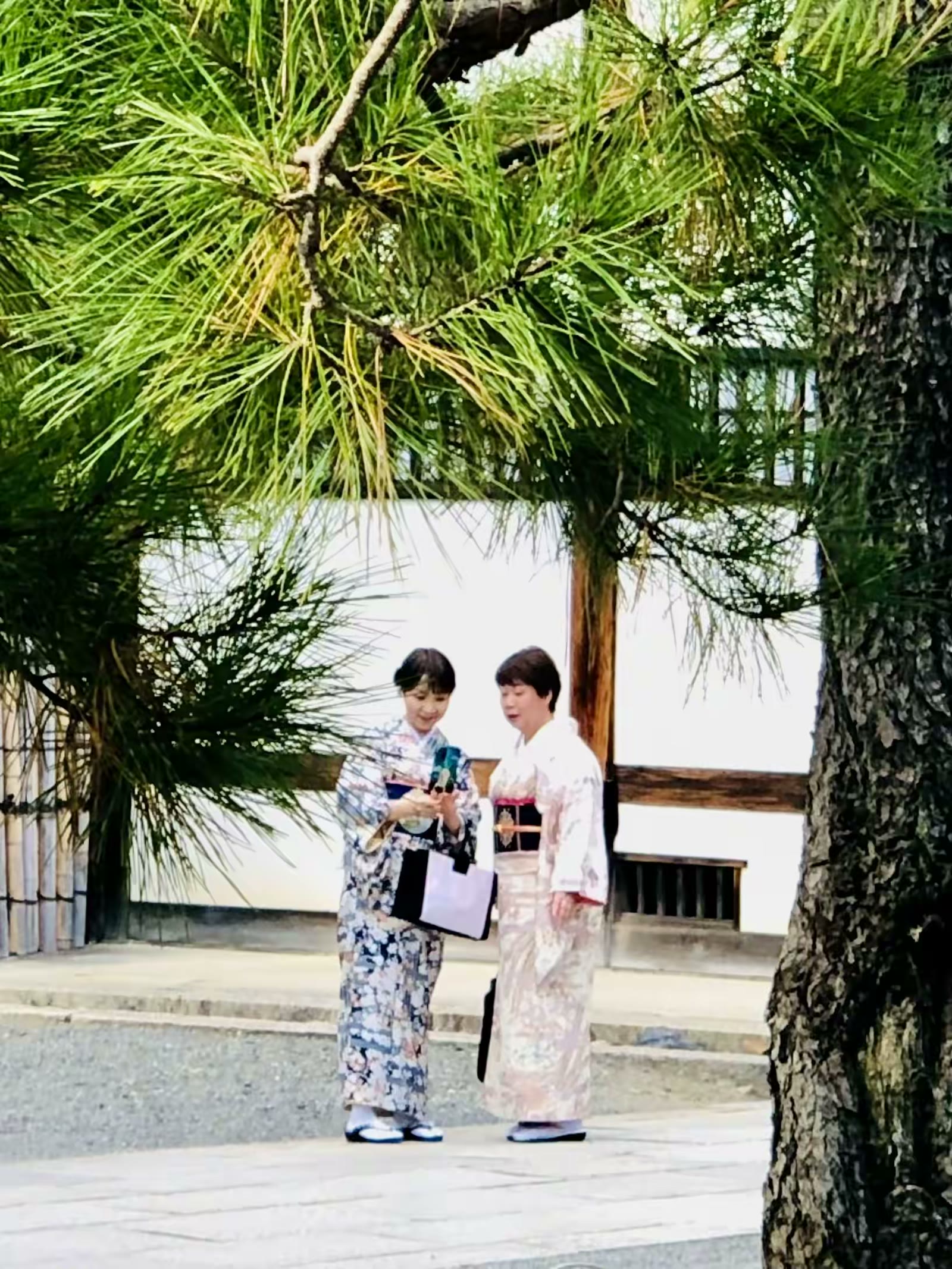日本和服街头秀