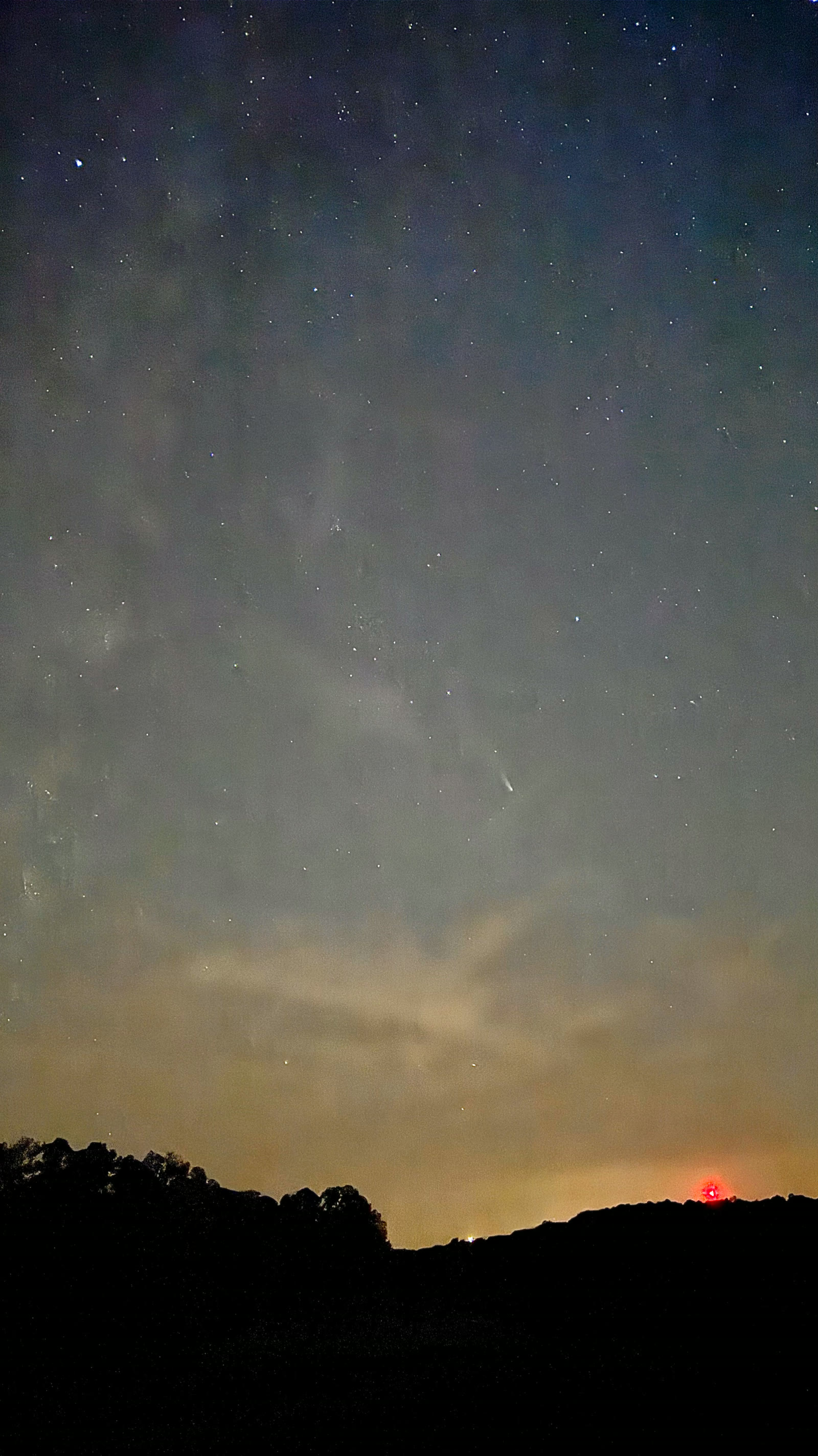 紫金山-阿特拉斯彗星