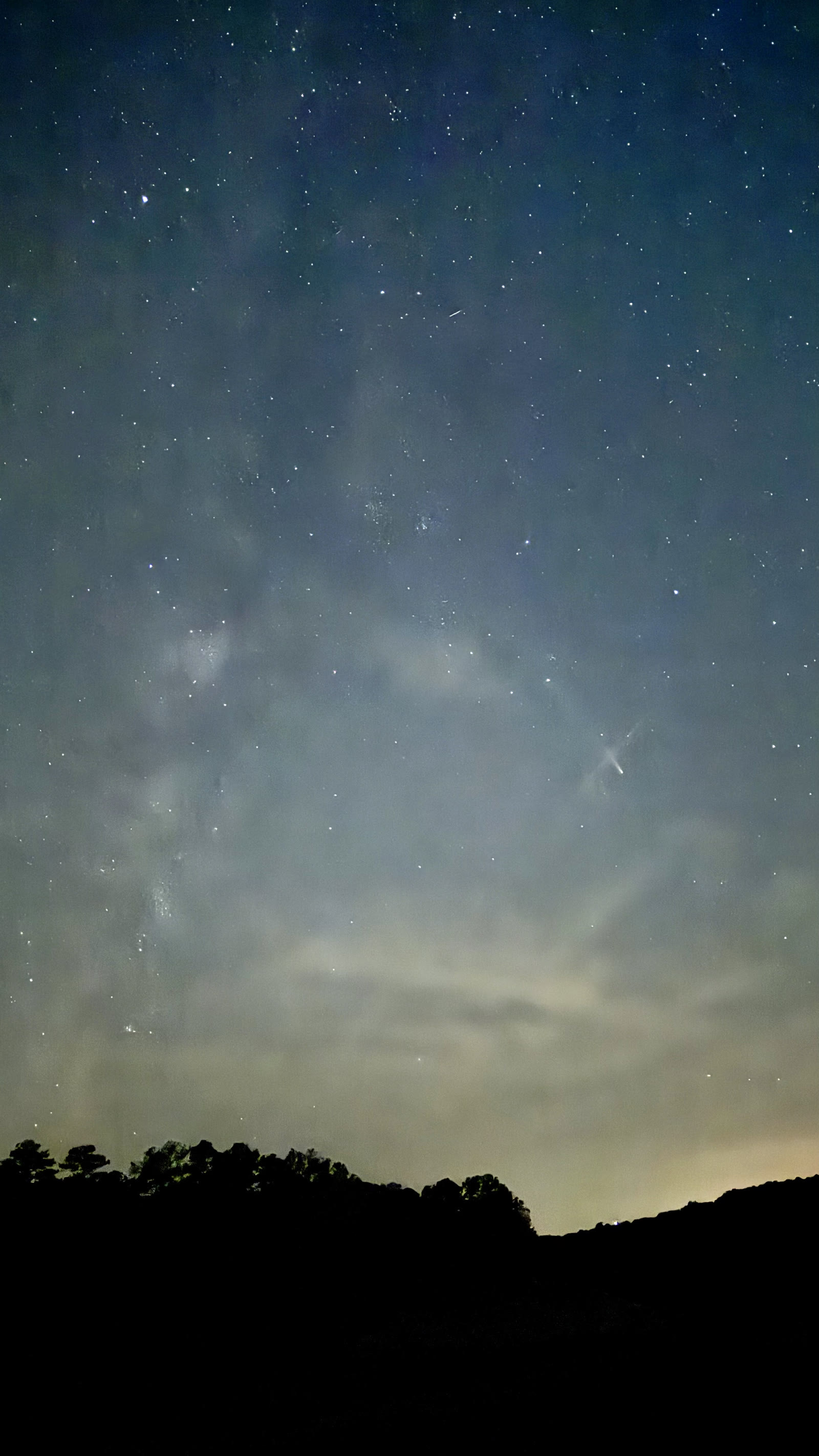 紫金山-阿特拉斯彗星
