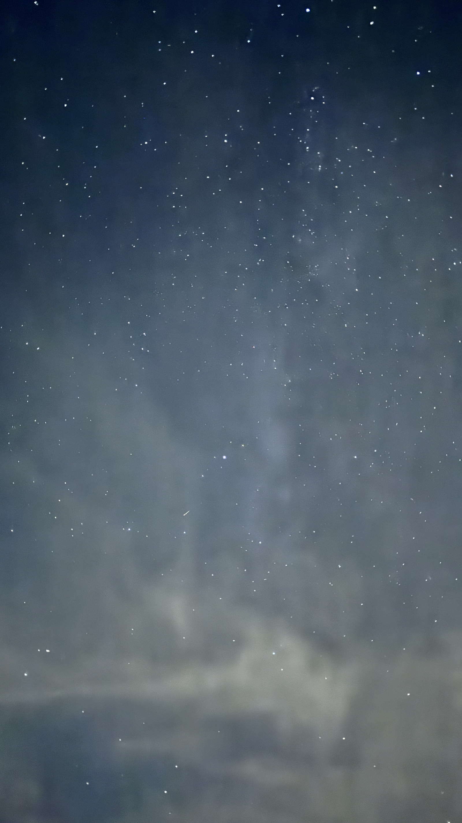 紫金山-阿特拉斯彗星