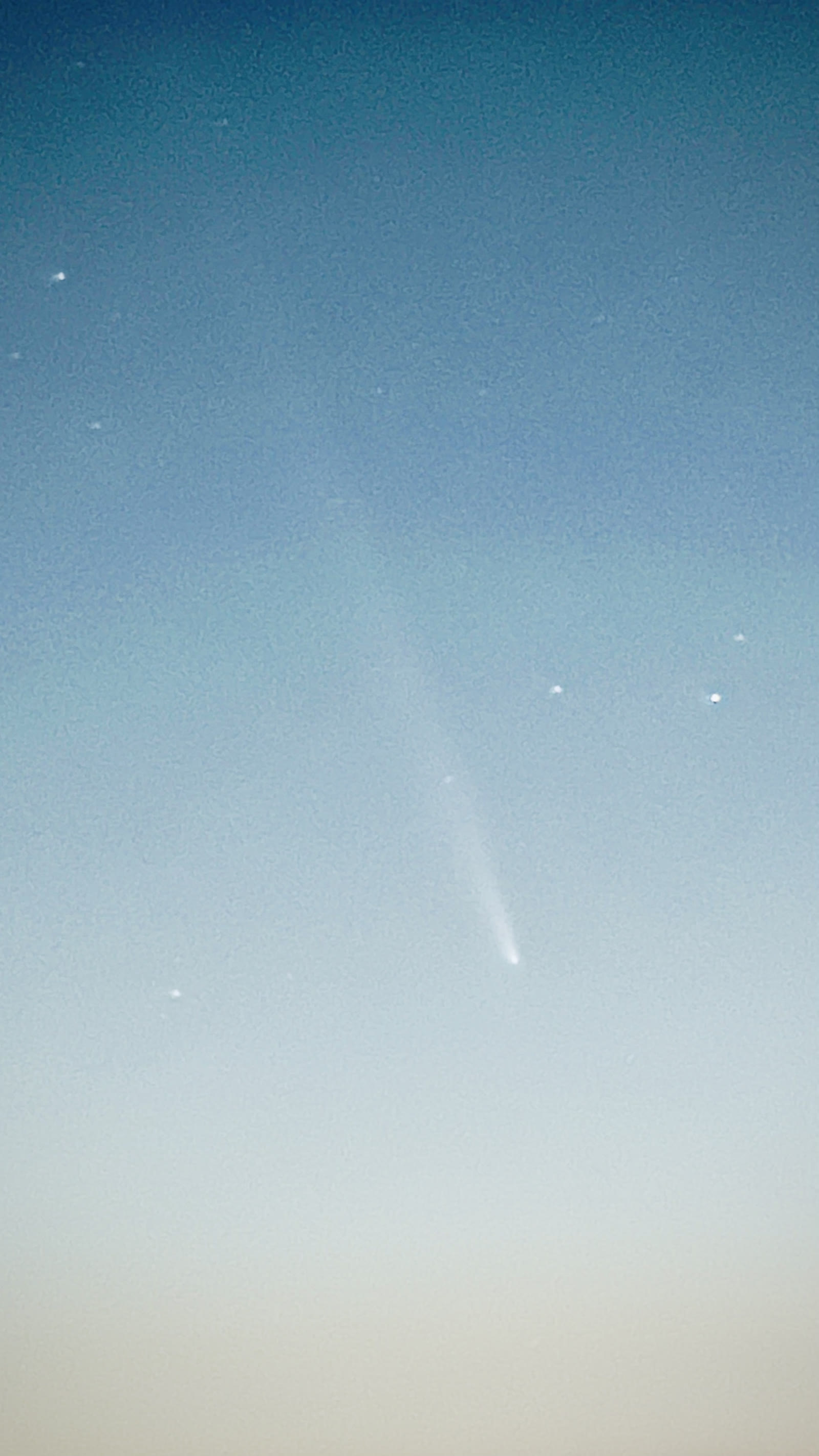 紫金山-阿特拉斯彗星