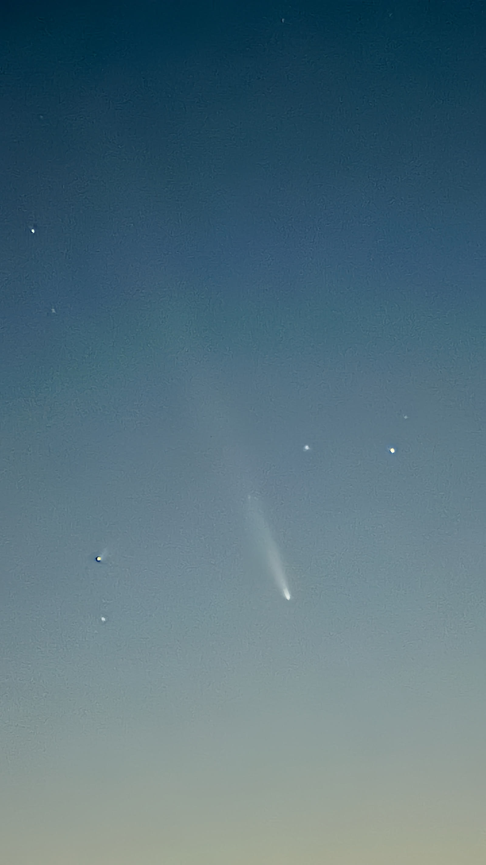 紫金山-阿特拉斯彗星