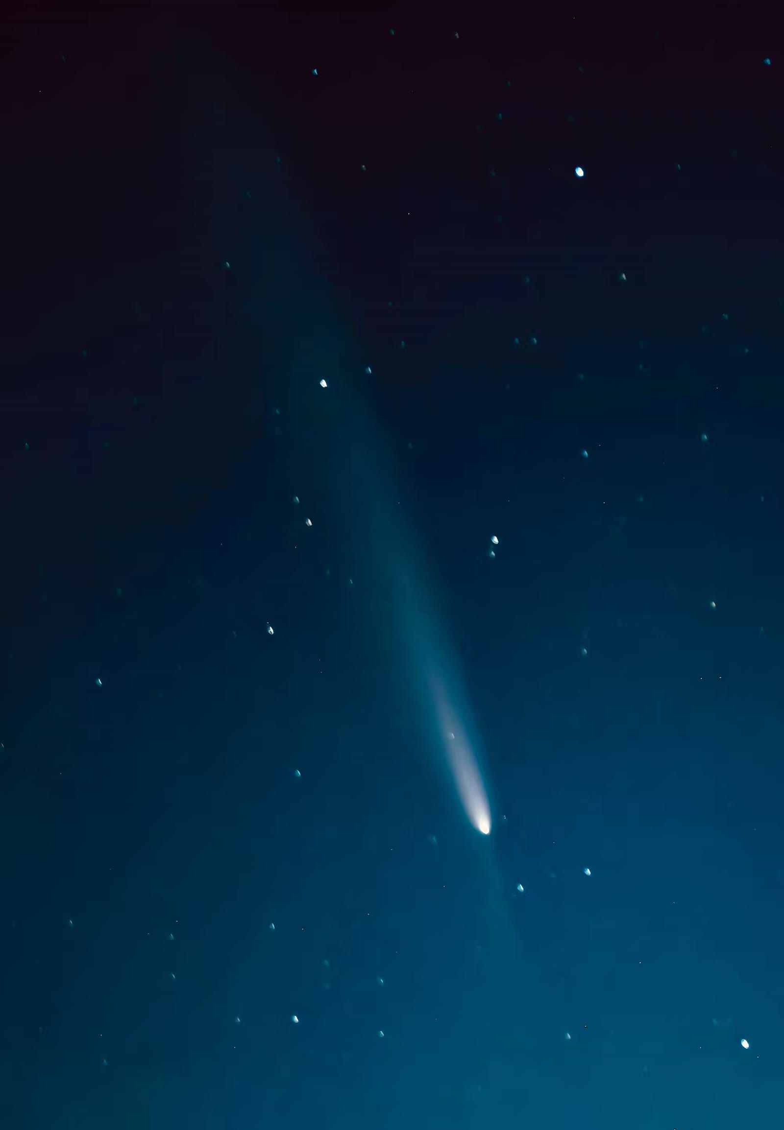 紫金山-阿特拉斯彗星