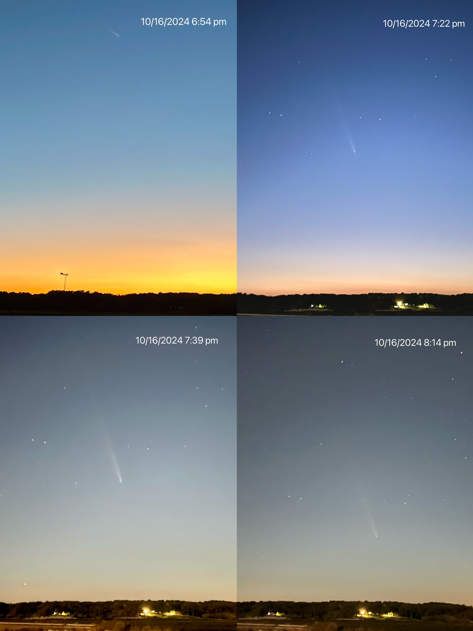 紫金山-阿特拉斯彗星