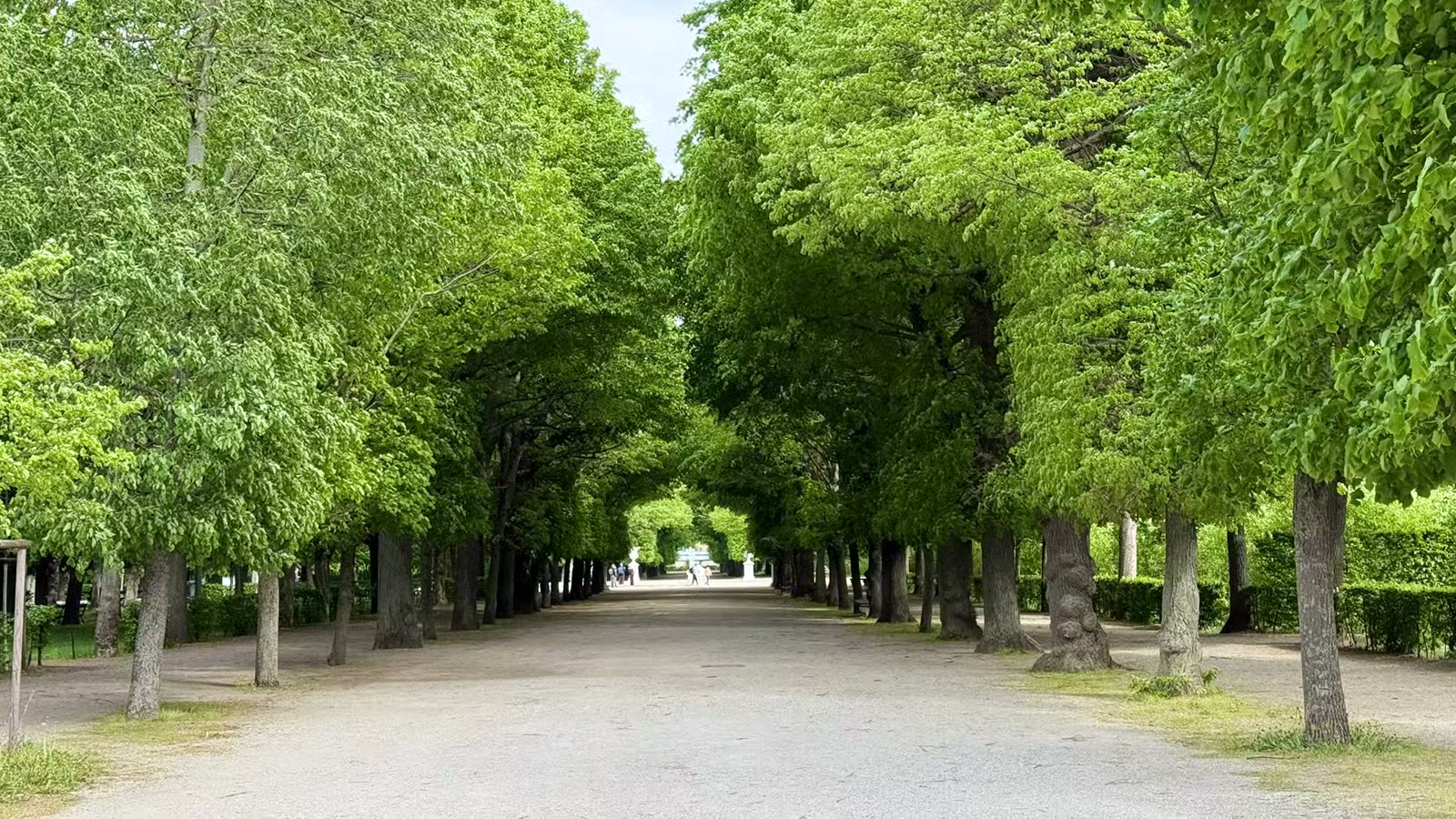 中欧四城漫步行 街头巷尾皆是景