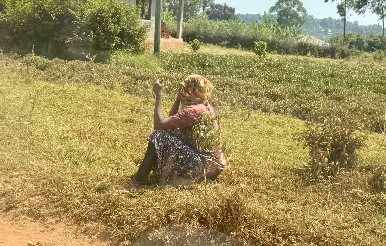 东非两国沿途行人