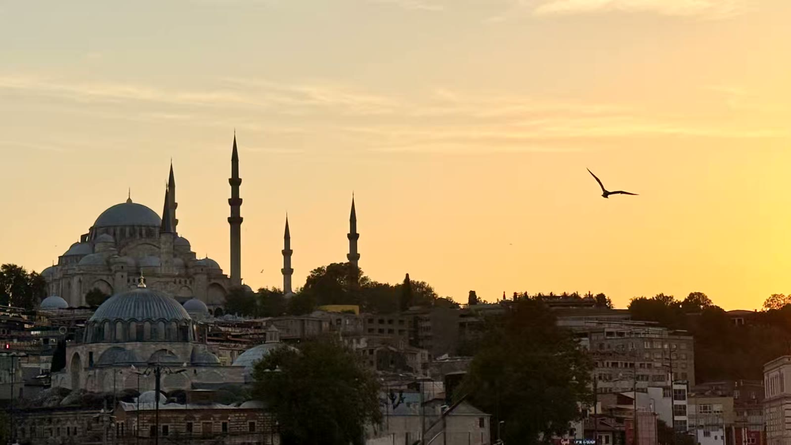 苏莱曼尼耶清真寺( Suleymaniye Mosque)由苏莱曼大帝委托建造，由皇家建筑师米马尔·希南设计，于 1557 年竣工。论名气，远远及不上蓝色清真寺，但其实它比蓝寺规模更大，历史更悠久（十六世纪），旁边还有苏莱曼大帝及其爱妻的陵墓。