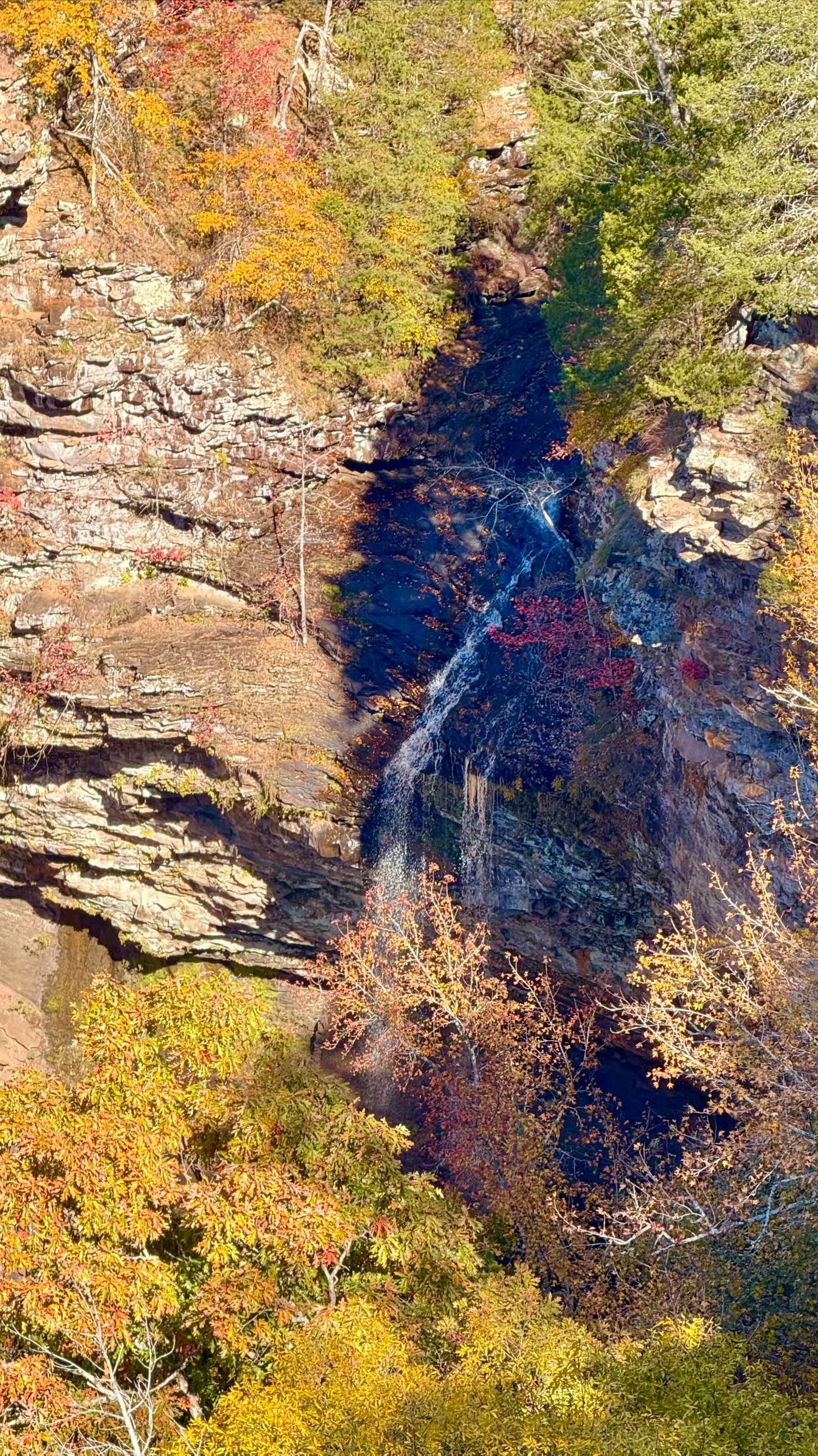 Cedar Falls Overlook