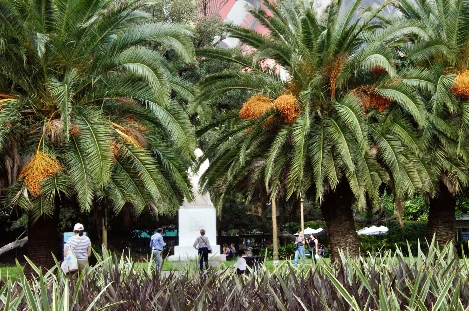 雷科莱塔区 (Recoleta)