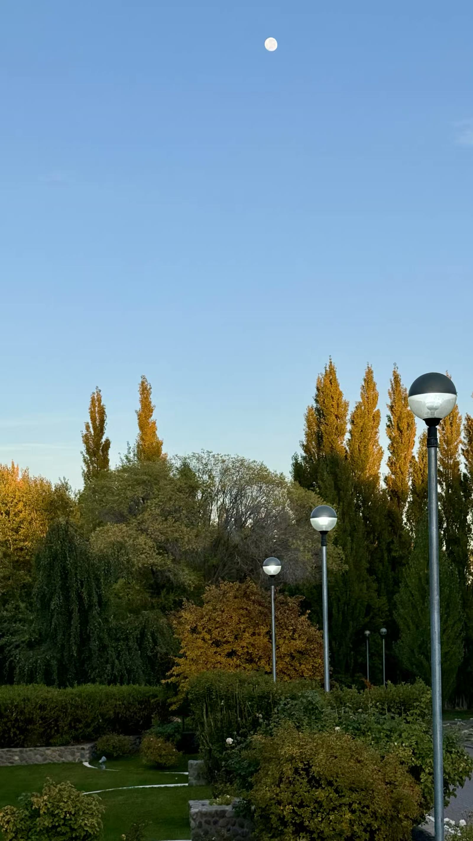 4月4日早上8:30左右离开El Calafate 小镇。