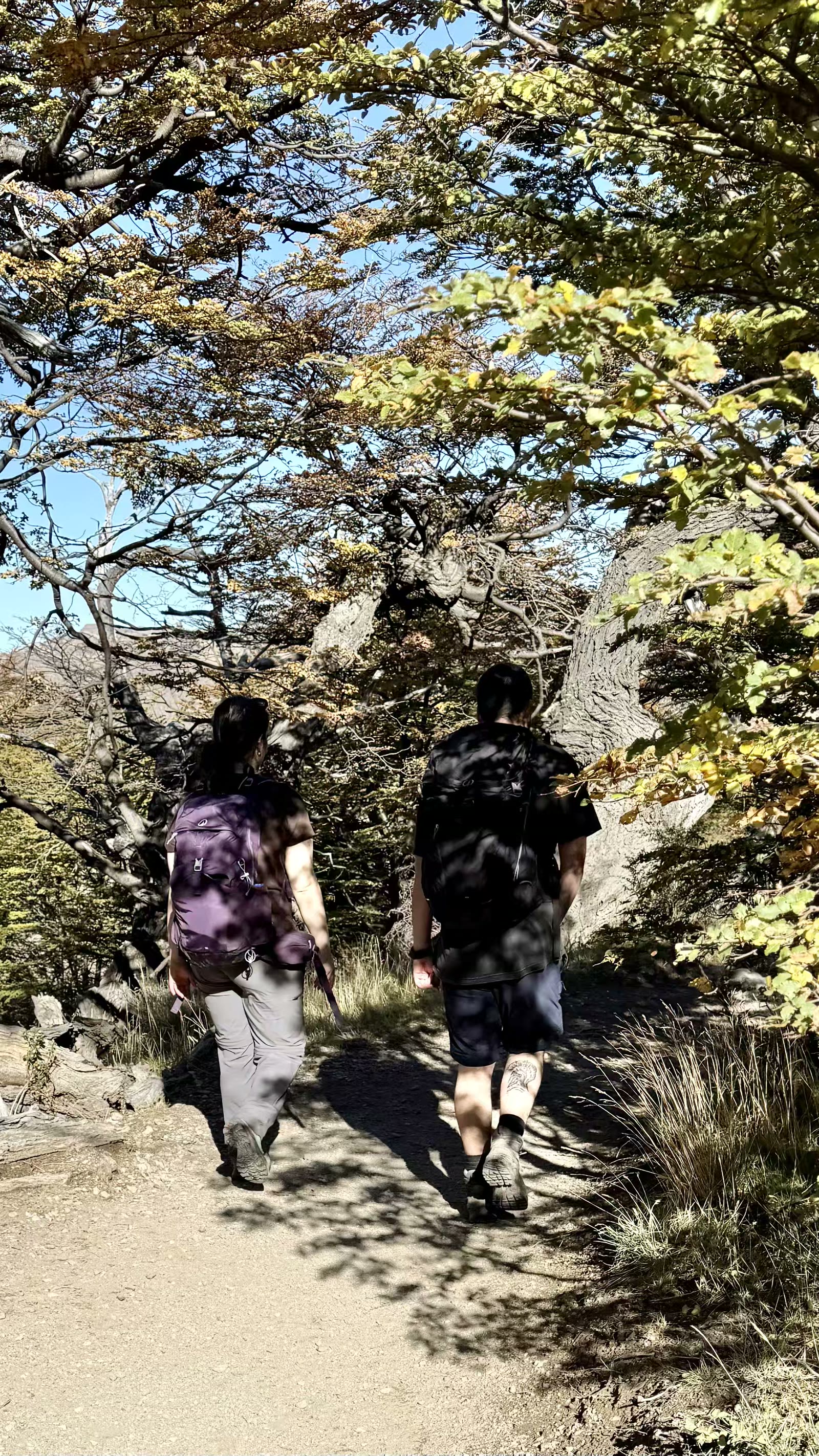 当天天气不错，阳光灿烂，温度不低，风不大，不少年轻人短袖短裤穿上身。