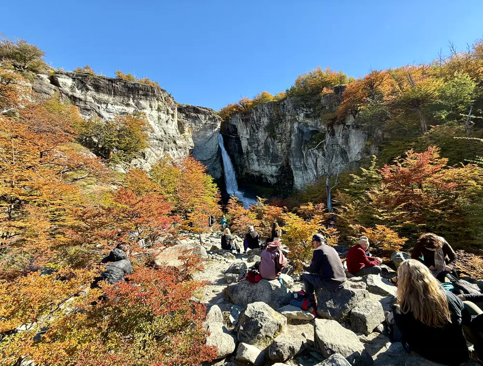 阿根廷妃子峰
