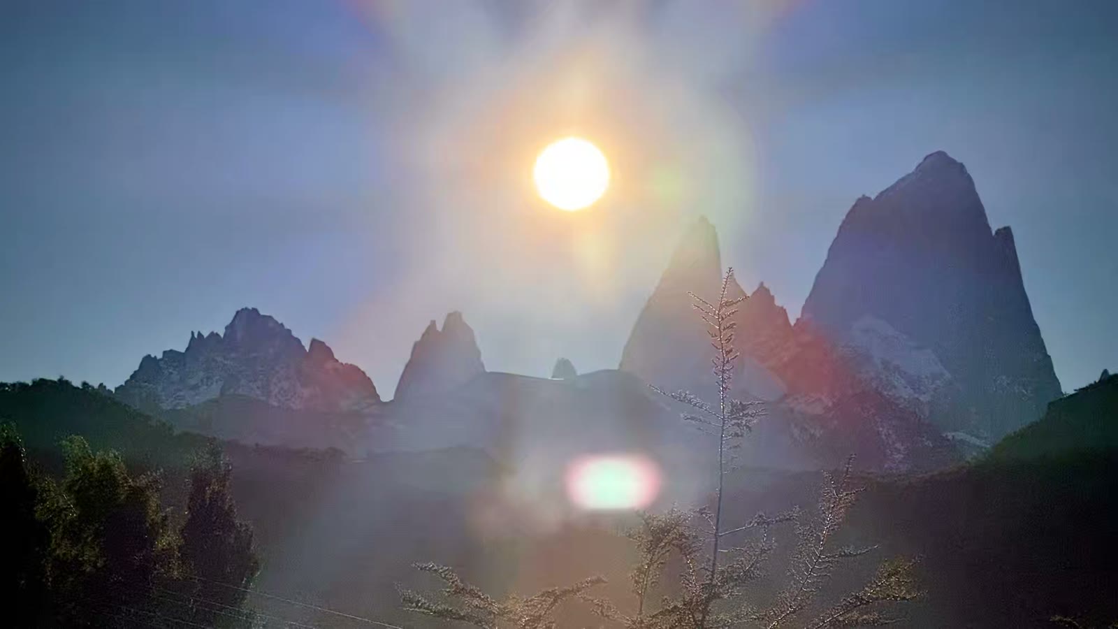 阿根廷妃子峰