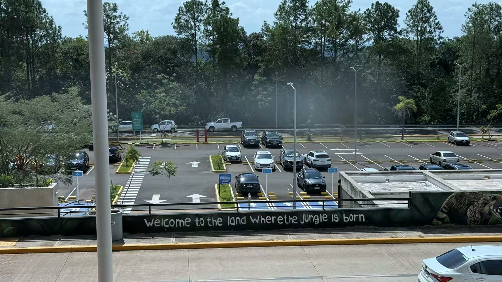 机场英文和西班牙文的标语：欢迎来到原始森林 诞生的土地。
