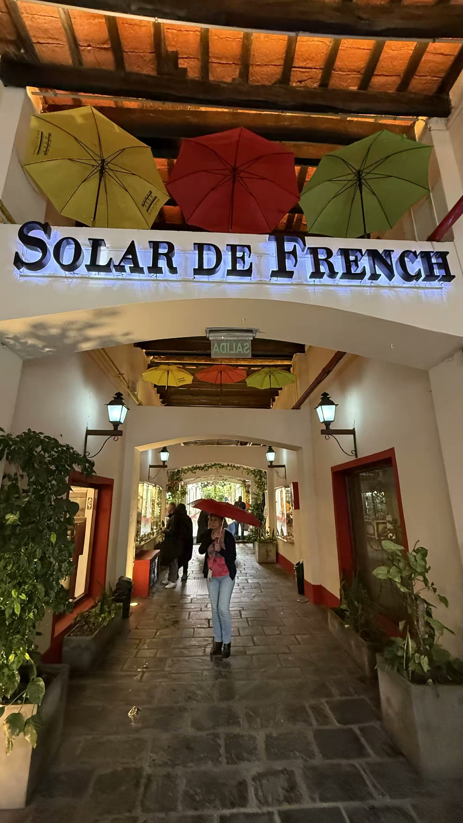 Galeria Solar de French 位于布宜诺斯艾利斯圣特尔莫(San Telmo)区的核心地带多雷戈广场(Palaza Dorrego),是一条迷人且充满历史底蕴的购物长廊。它以其上方悬挂的 88 把色彩斑斓的雨伞以及新殖民风格的建筑而闻名遐迩。这里曾是阿根廷爱国志士多明戈·弗伦奇(Domingo French)的故居,如今已汇聚了当地的手工艺品店、古董店、皮具店以及咖啡馆。