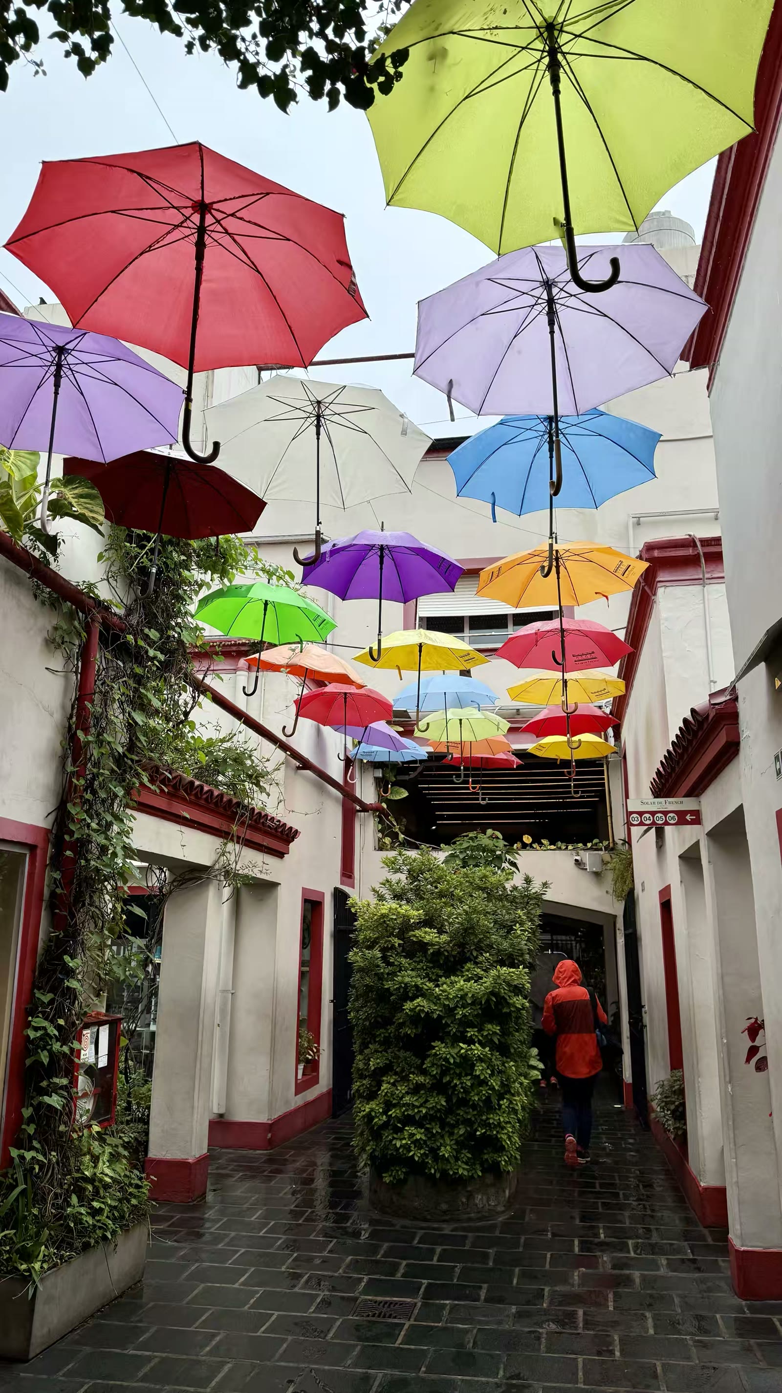布宜诺斯艾利斯街头一瞥