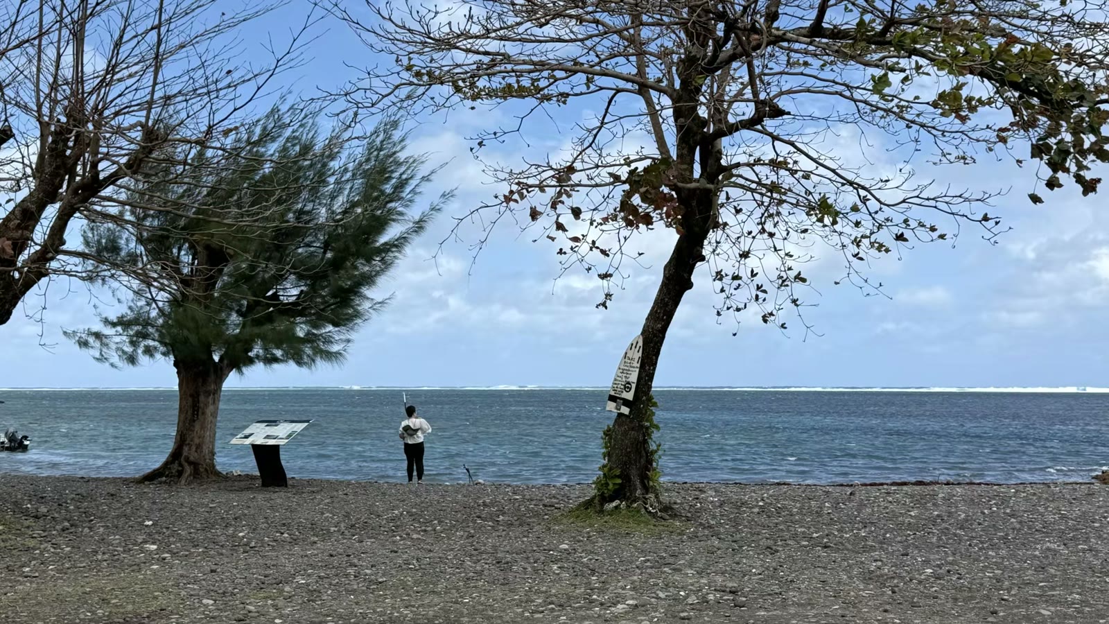 初见大溪地
