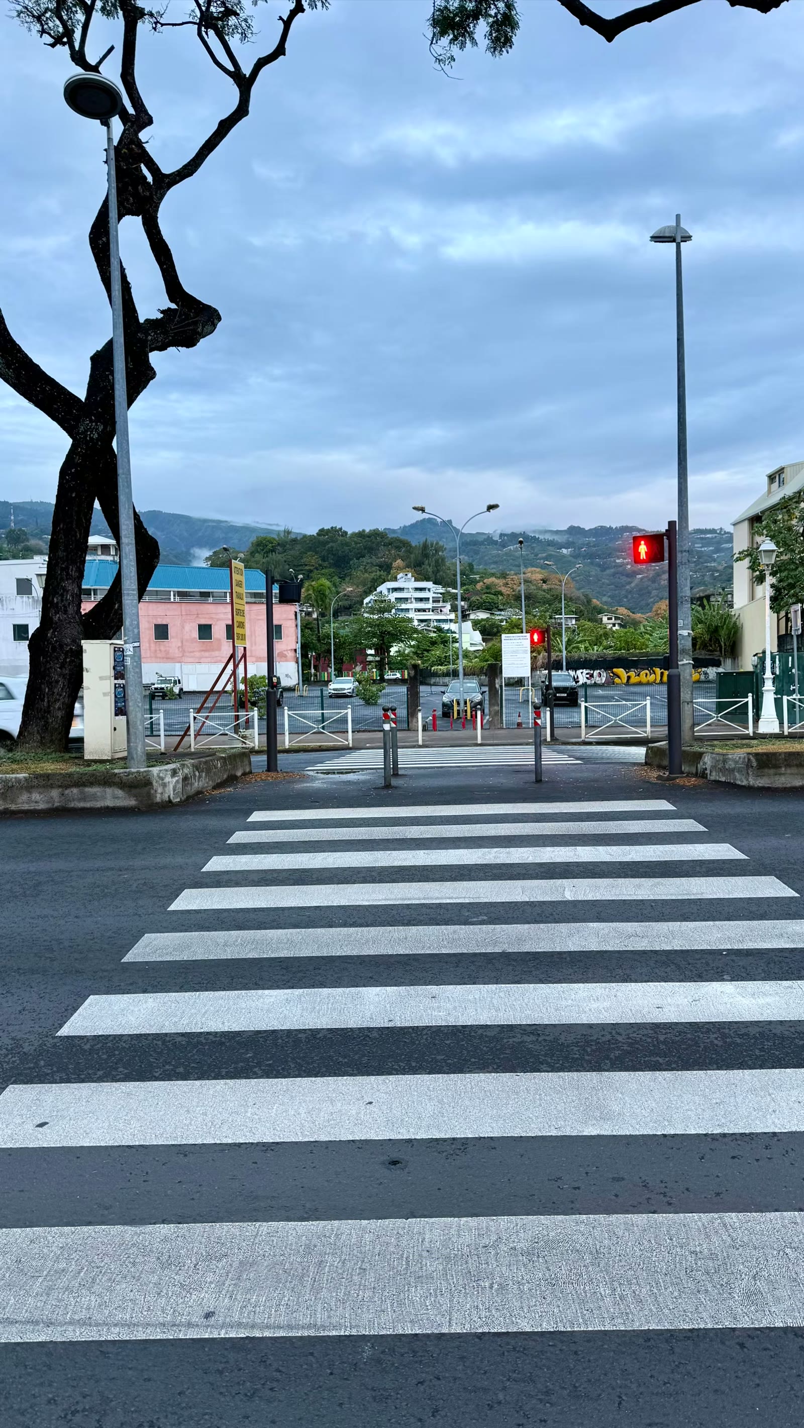 第八天：返回大溪地