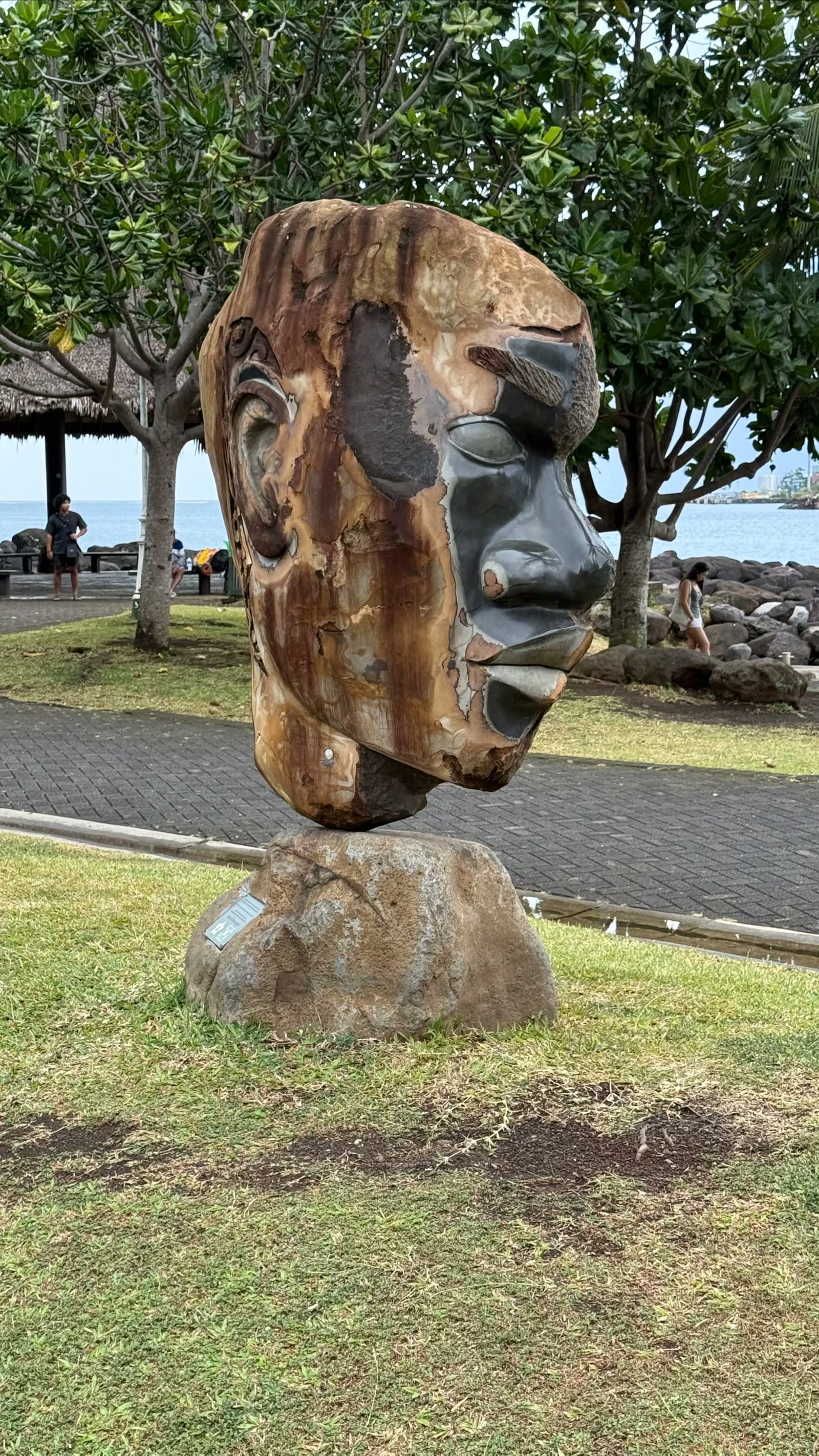 塔希提雕塑家 Teva Victor 的作品，位于 Papeete 的 Paofai 公园（Jardins de Paofai）海滨。    艺术家特别说明，这是一个“混血面孔”，并带有象征波利尼西亚文化的纹样。所以你照片里看到的眼睛、鼻子、嘴唇以及头发部分，实际上是现实人脸与传统波利尼西亚艺术元素的融合。