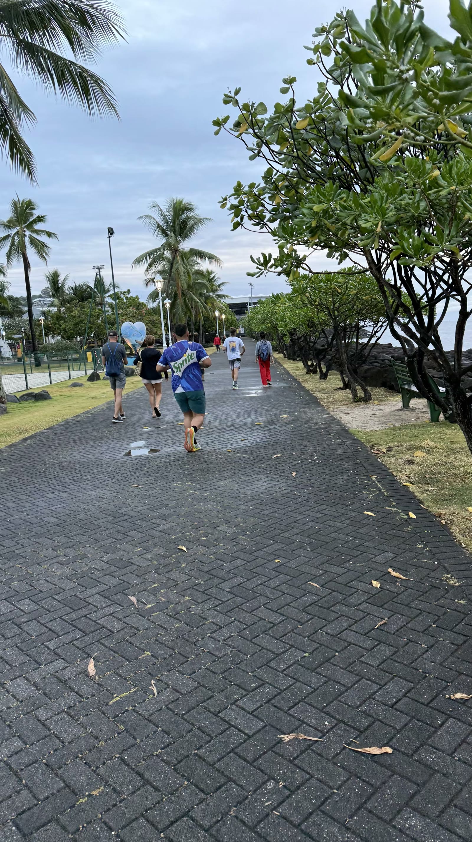 第八天：返回大溪地