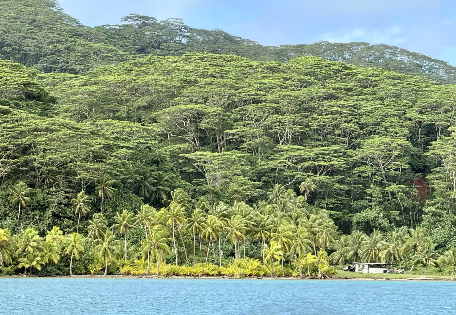 第二天:胡阿希内岛(Huahine)