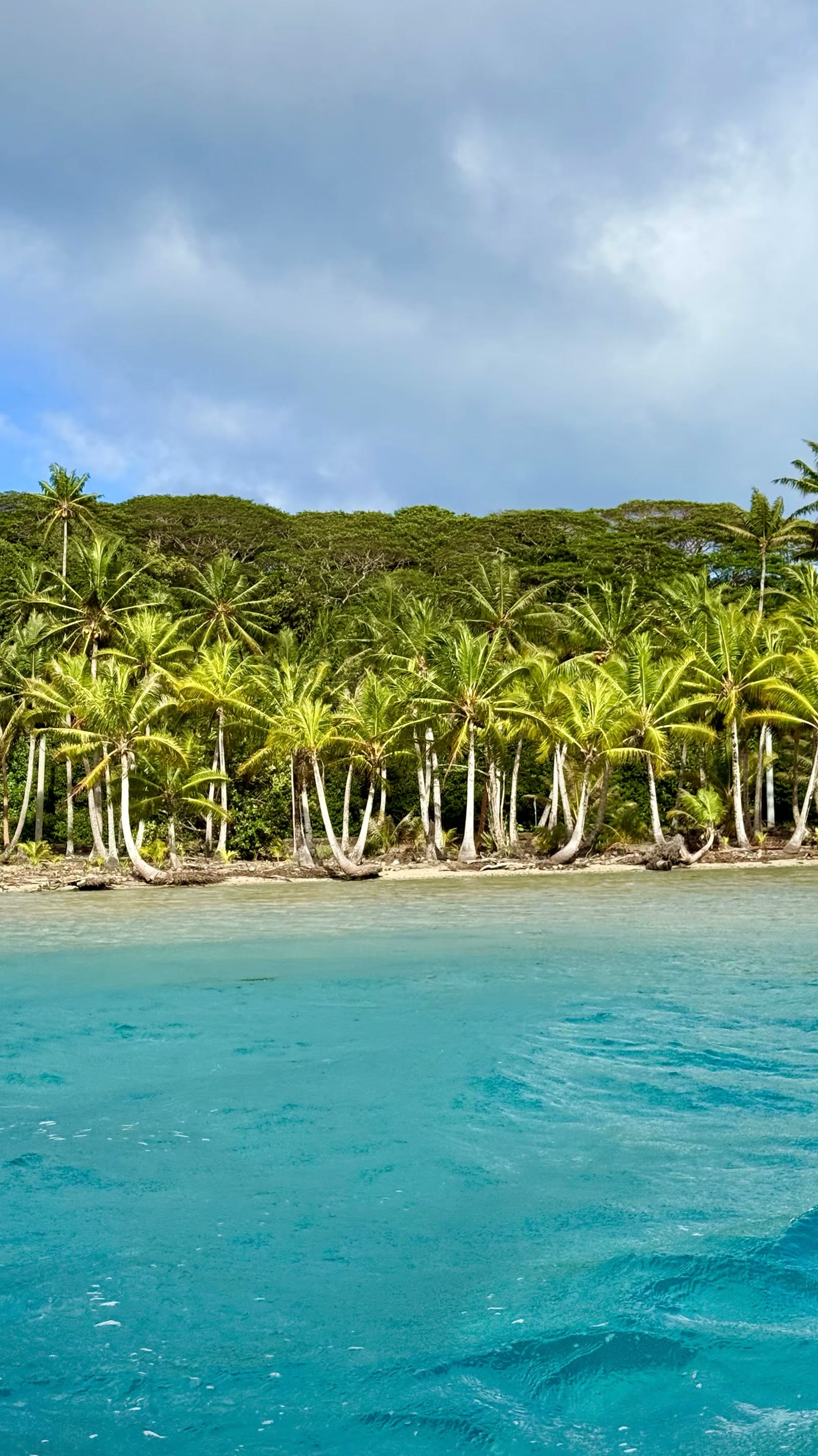 第二天:胡阿希内岛(Huahine)