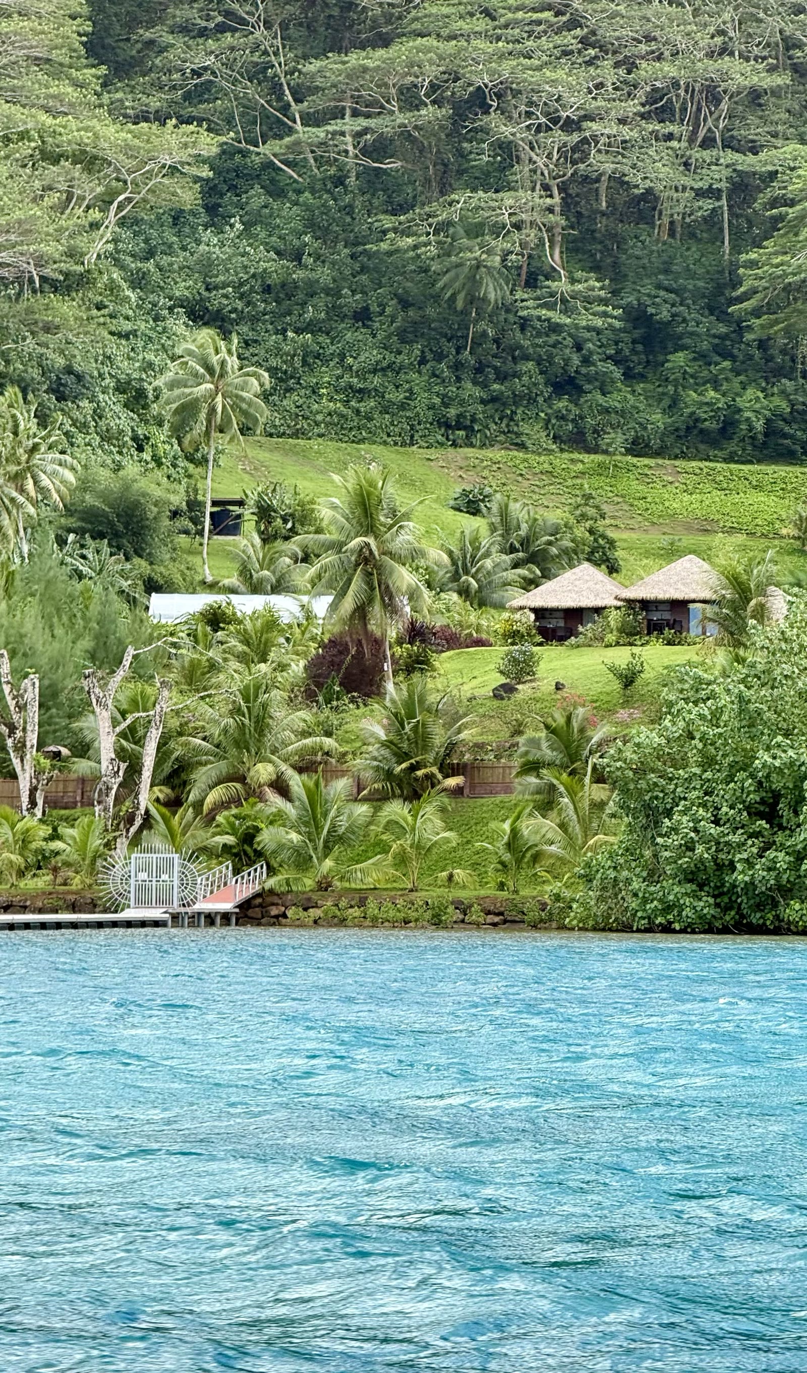 第二天:胡阿希内岛(Huahine)