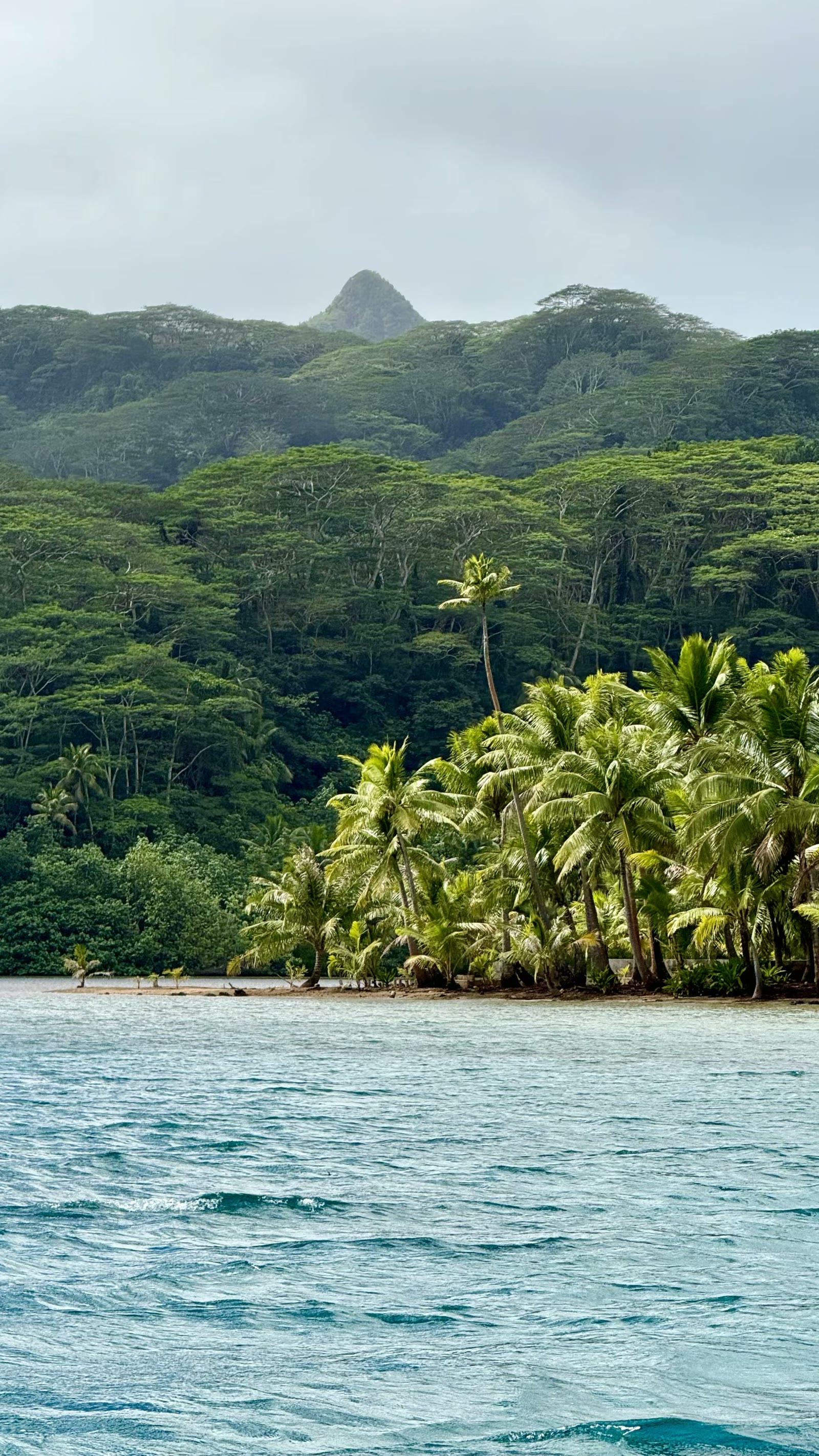 第二天:胡阿希内岛(Huahine)