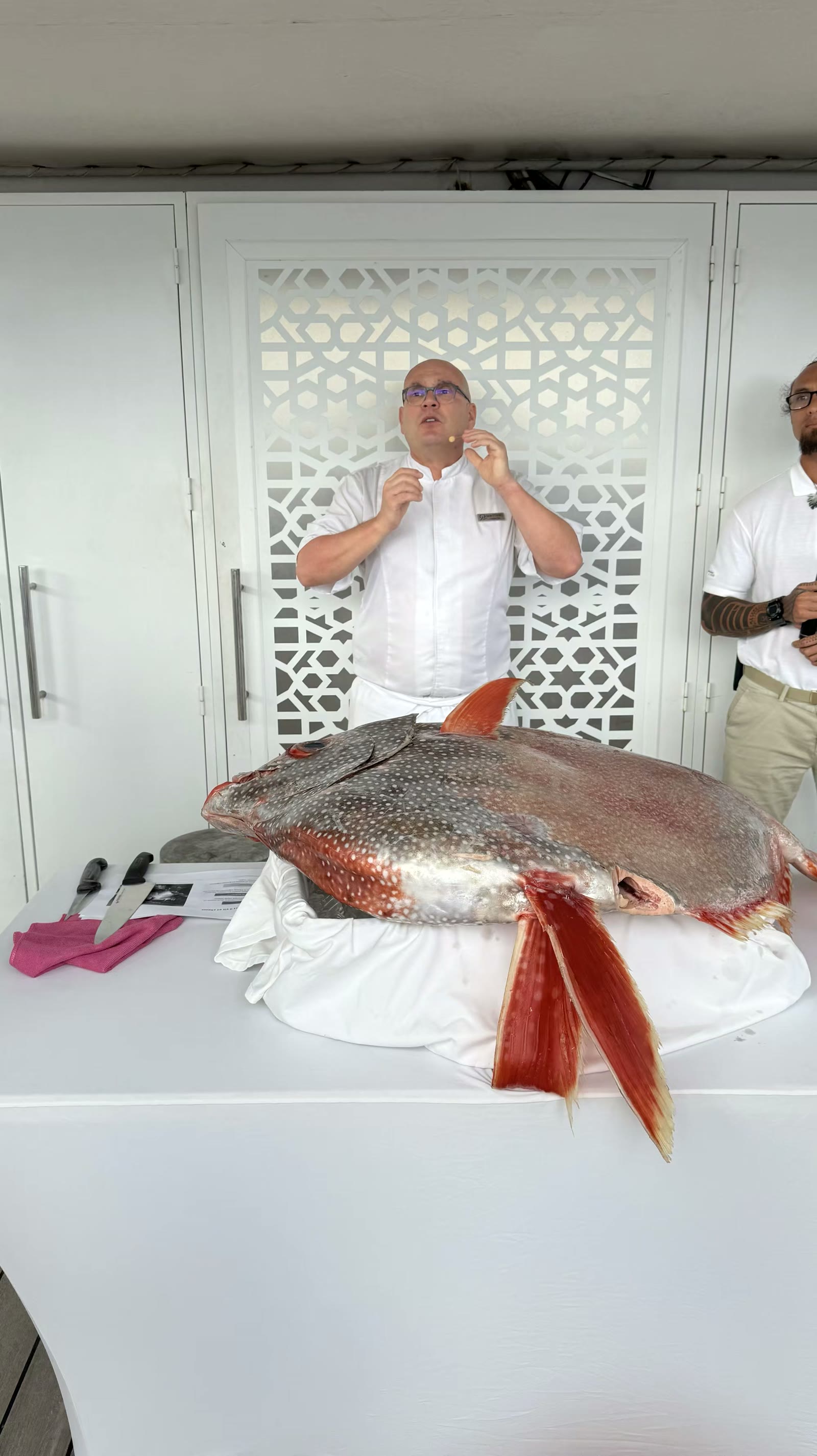⽉亮⻥(Moon fish) 切⻥展示:船上的大厨介绍这种⾮常特别的⻥类,并进⾏现 场切⻥展示。 晚上在5层餐厅和8层餐厅可品尝到 这条⻥做的菜。