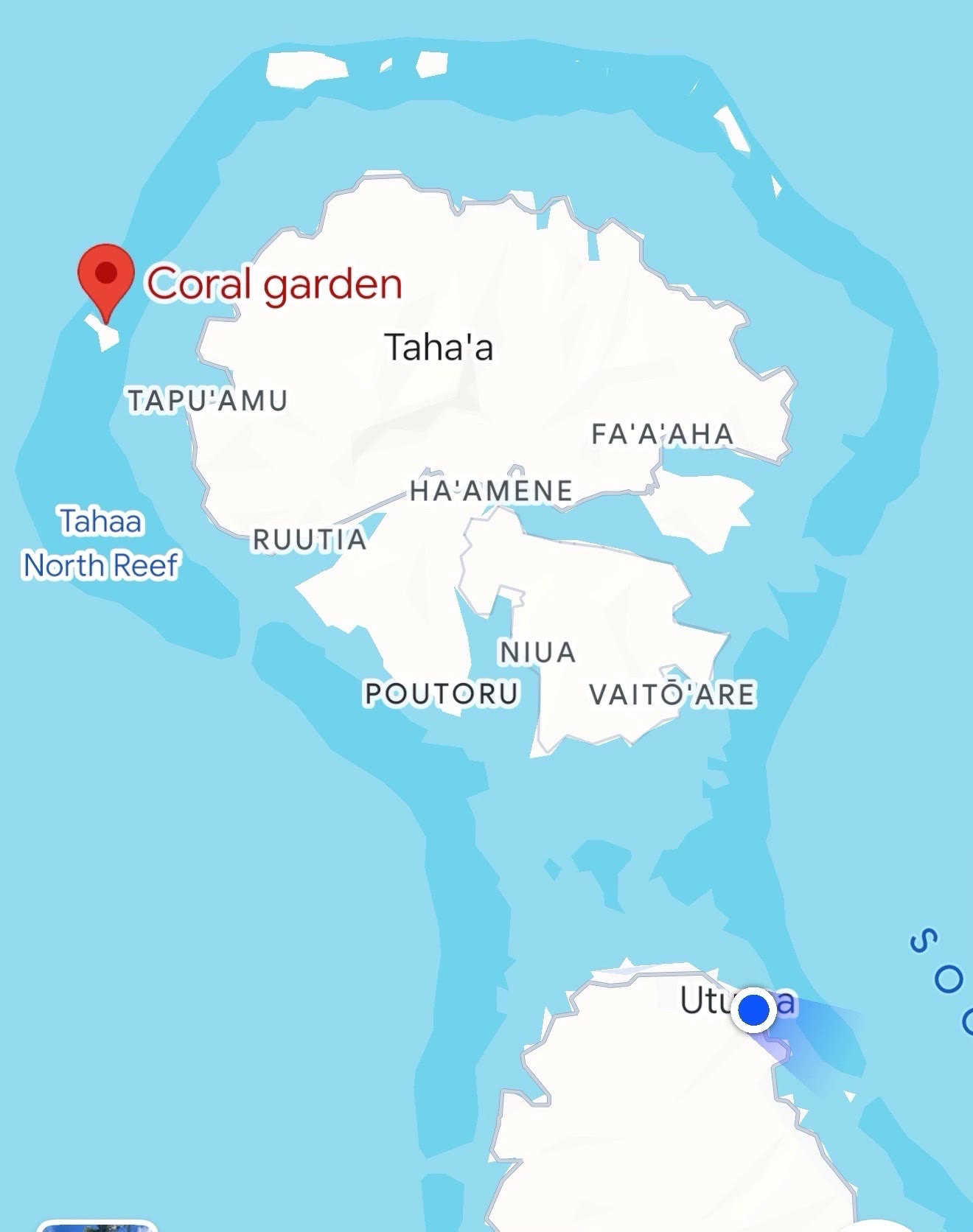 中午我们四人租了条快艇带我们到四十多分钟外的珊瑚花园浮潜。