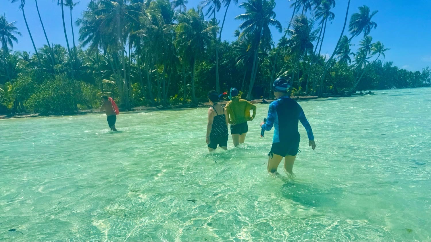 在向导带领跟随平缓水流顺流而下，沿途欣赏种类繁多的热带鱼群和令人惊叹的珊瑚群，穿越浅水泻湖返回船只。