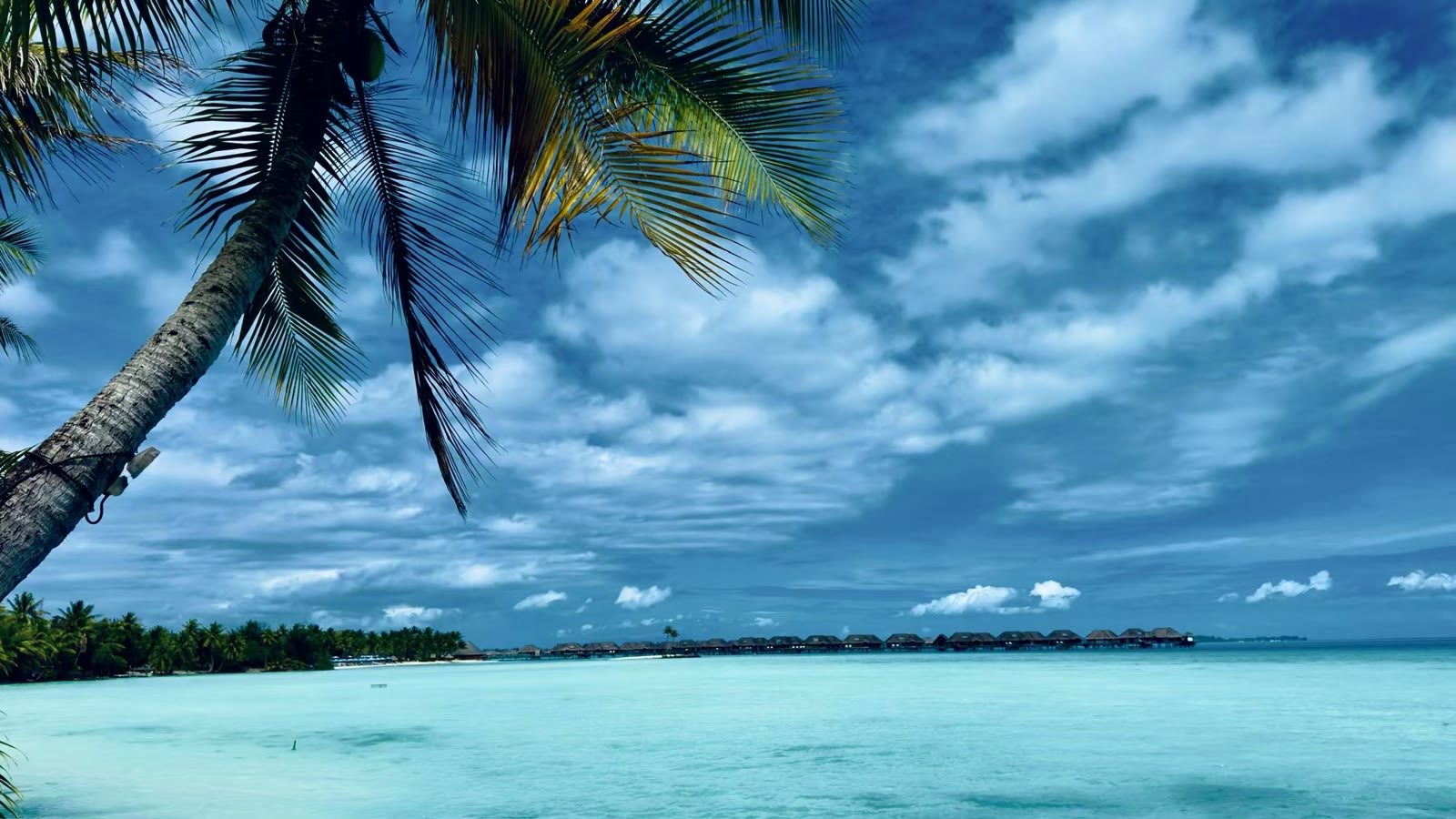 第六天： 波拉波拉岛（Bora Bora）