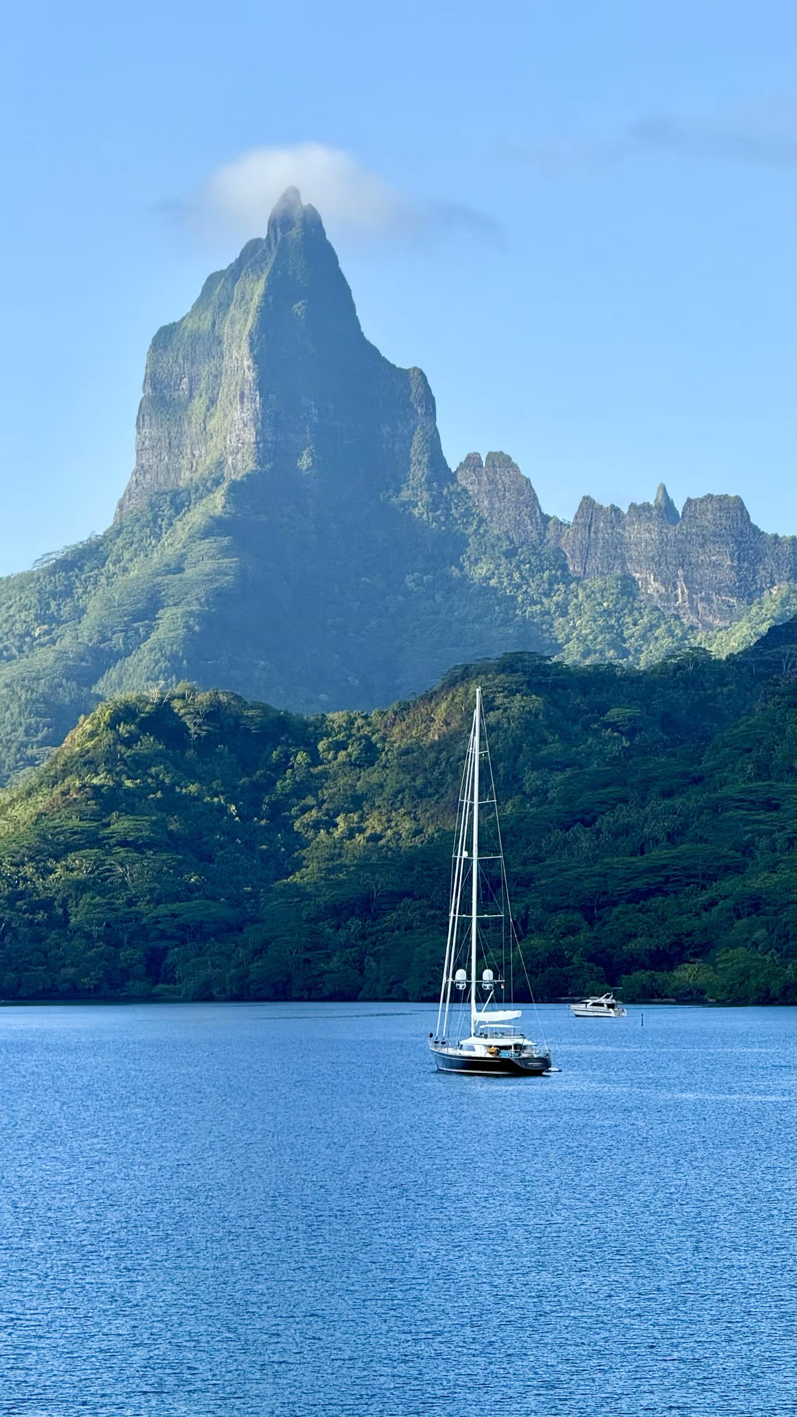 第七天:茉莉亚岛(Moorea)