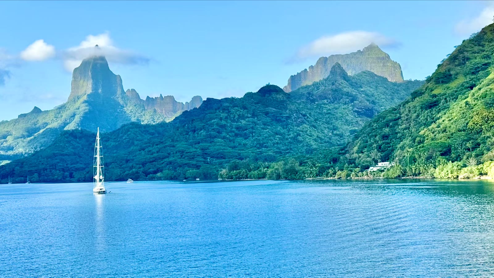 第七天:茉莉亚岛(Moorea)
