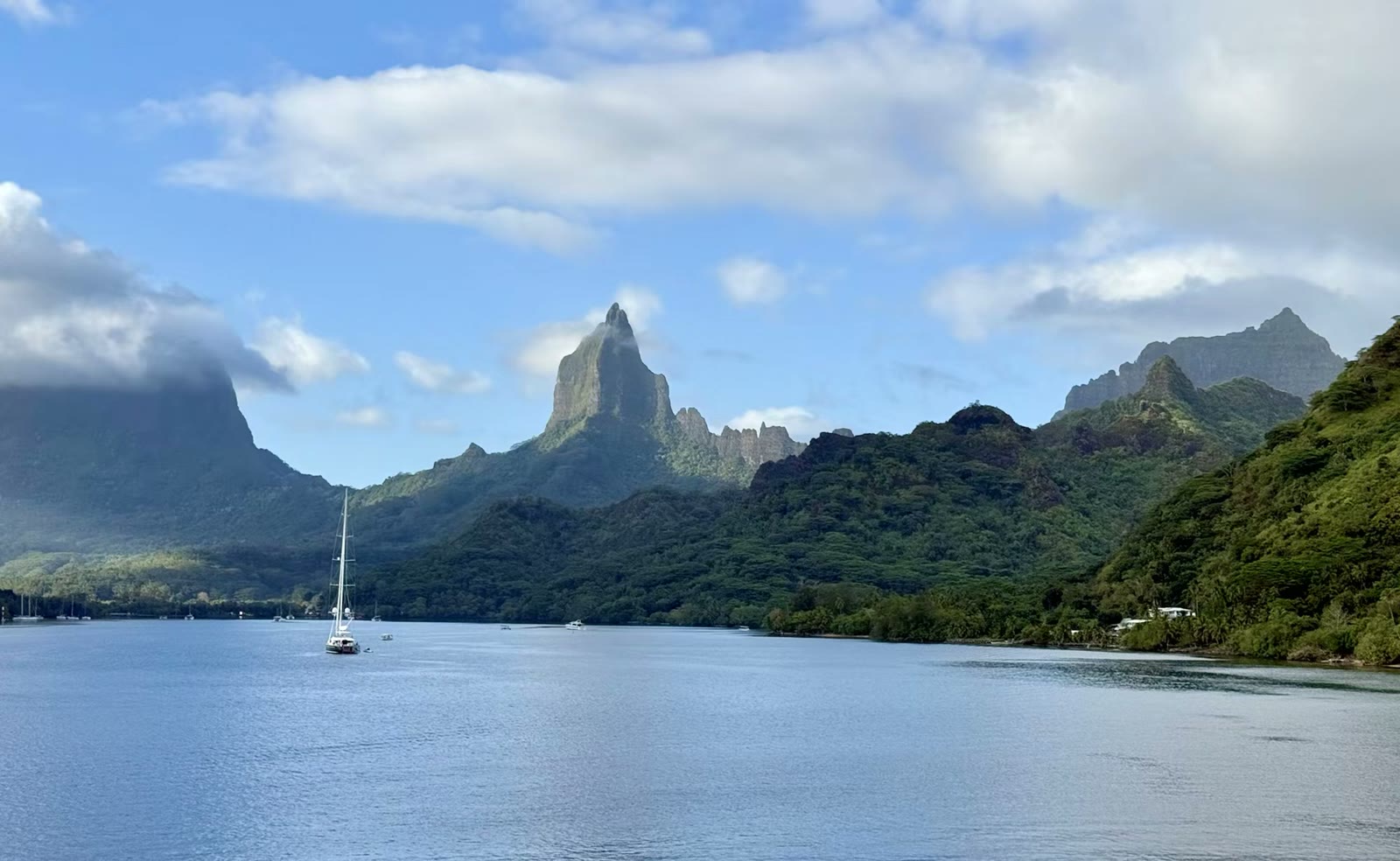 第七天:茉莉亚岛(Moorea)
