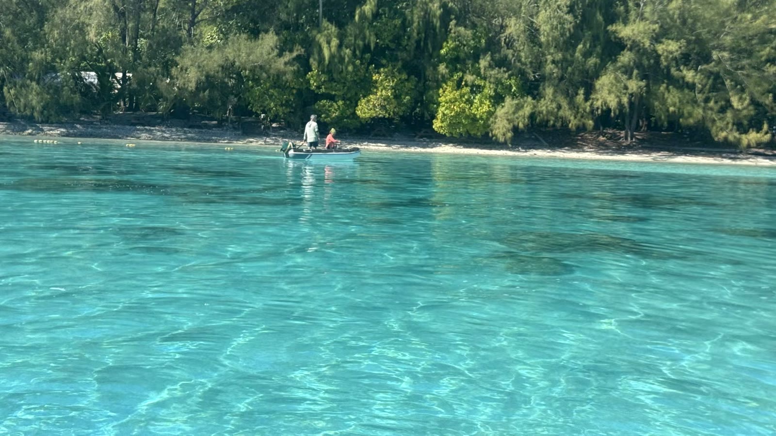第七天:茉莉亚岛(Moorea)