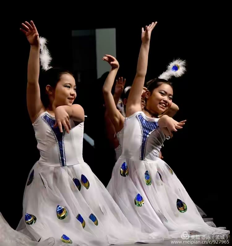 2006-2019孟菲斯华人春晚花絮
