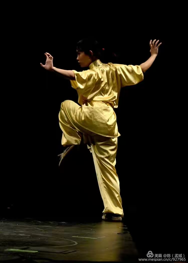 2006-2019孟菲斯华人春晚花絮