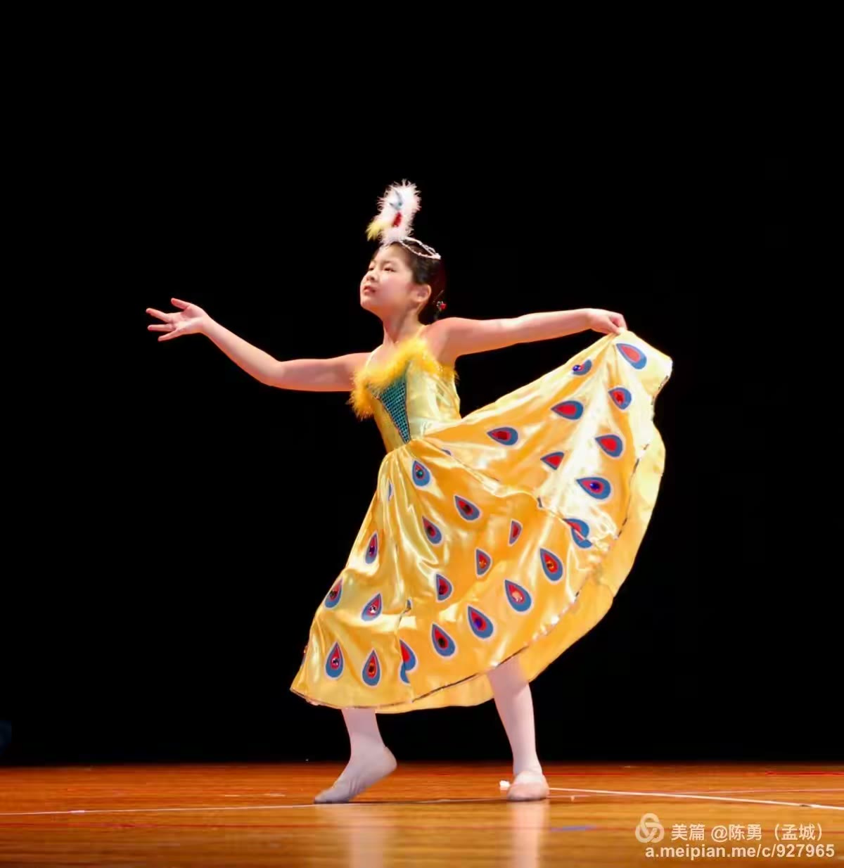 2006-2019孟菲斯华人春晚花絮